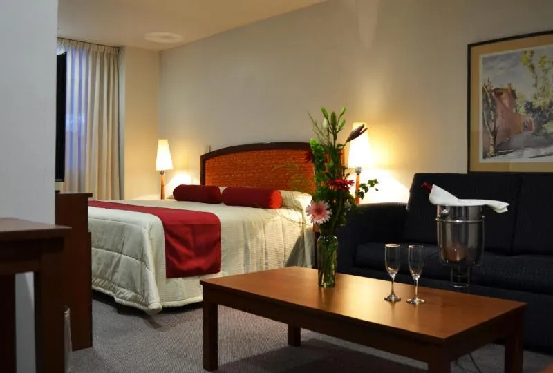 Junior Suite in Hotel Mediterraneo Sa De Cv