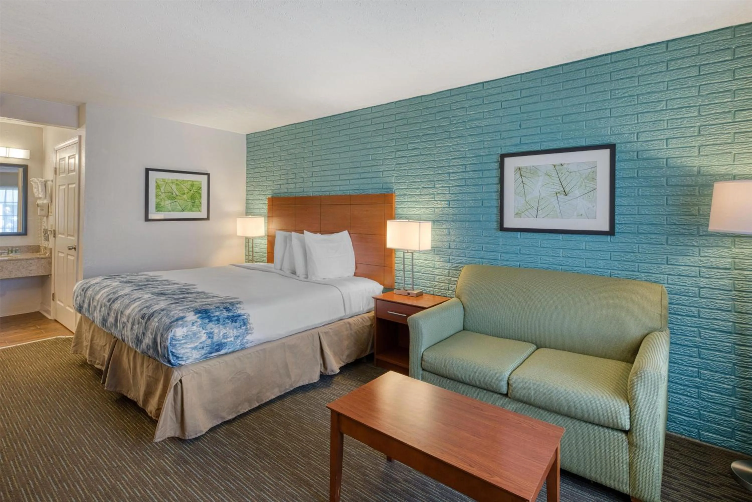 King Room with Roll-In Shower - Disability Access/Non-Smoking in Best Western Hendersonville Inn
