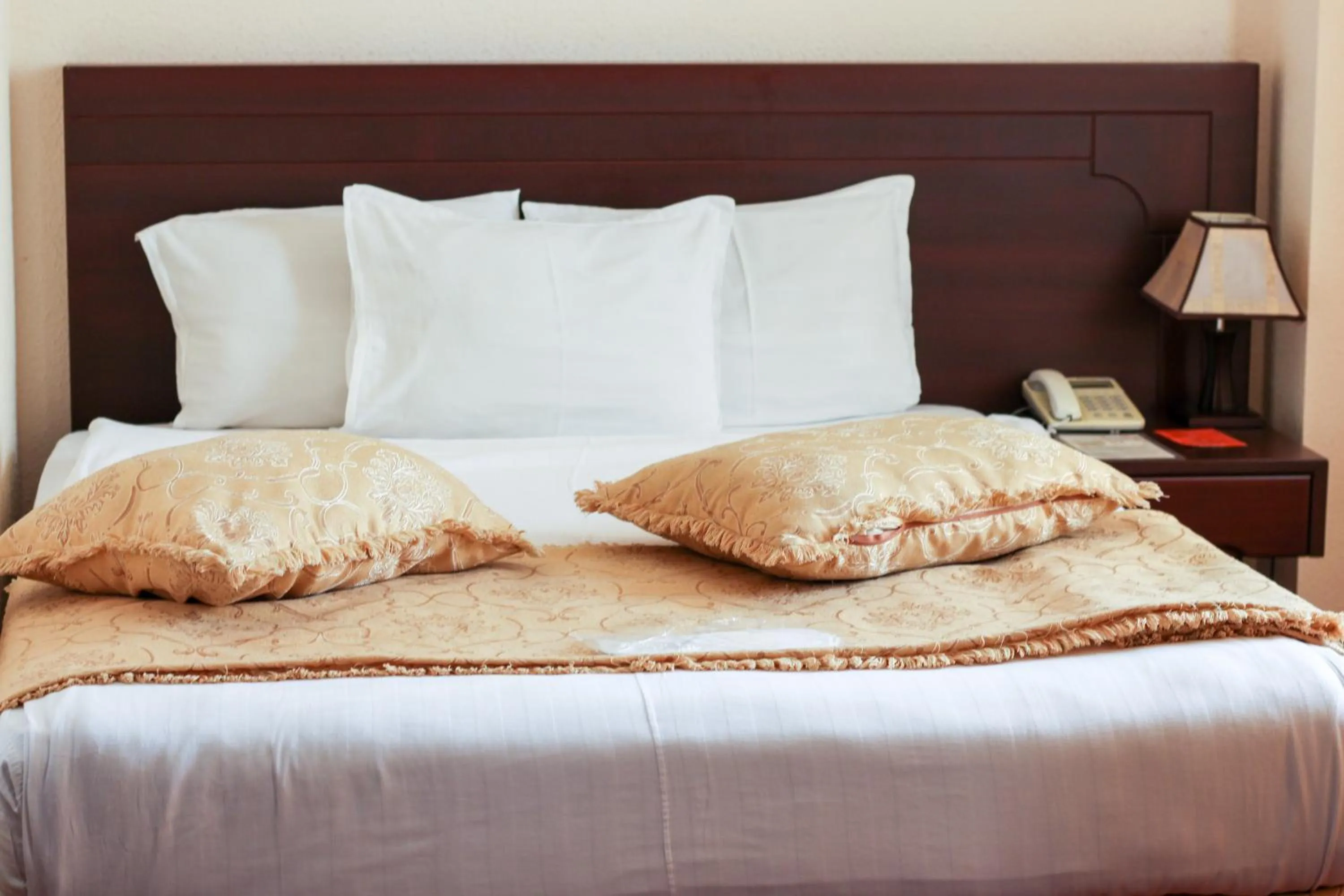 Standard Double Room - single occupancy in Hotel Uzbekistan