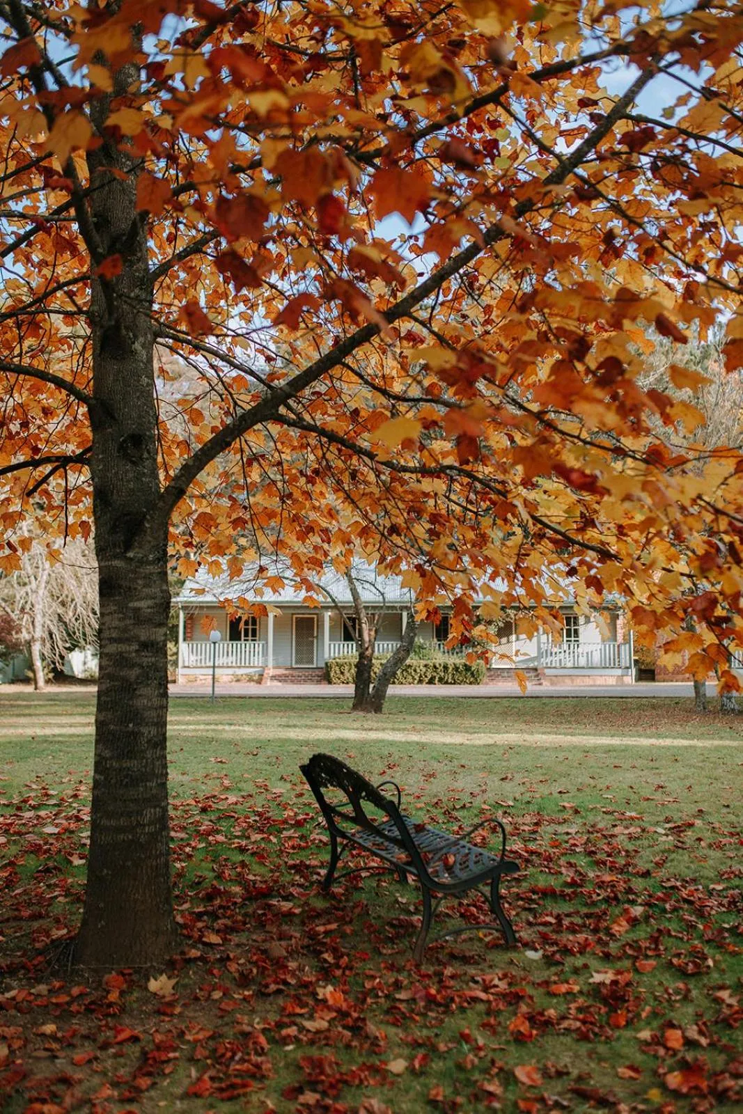 Laurel Two-Bedroom Cottage in Federation Gardens & Possums Hideaway