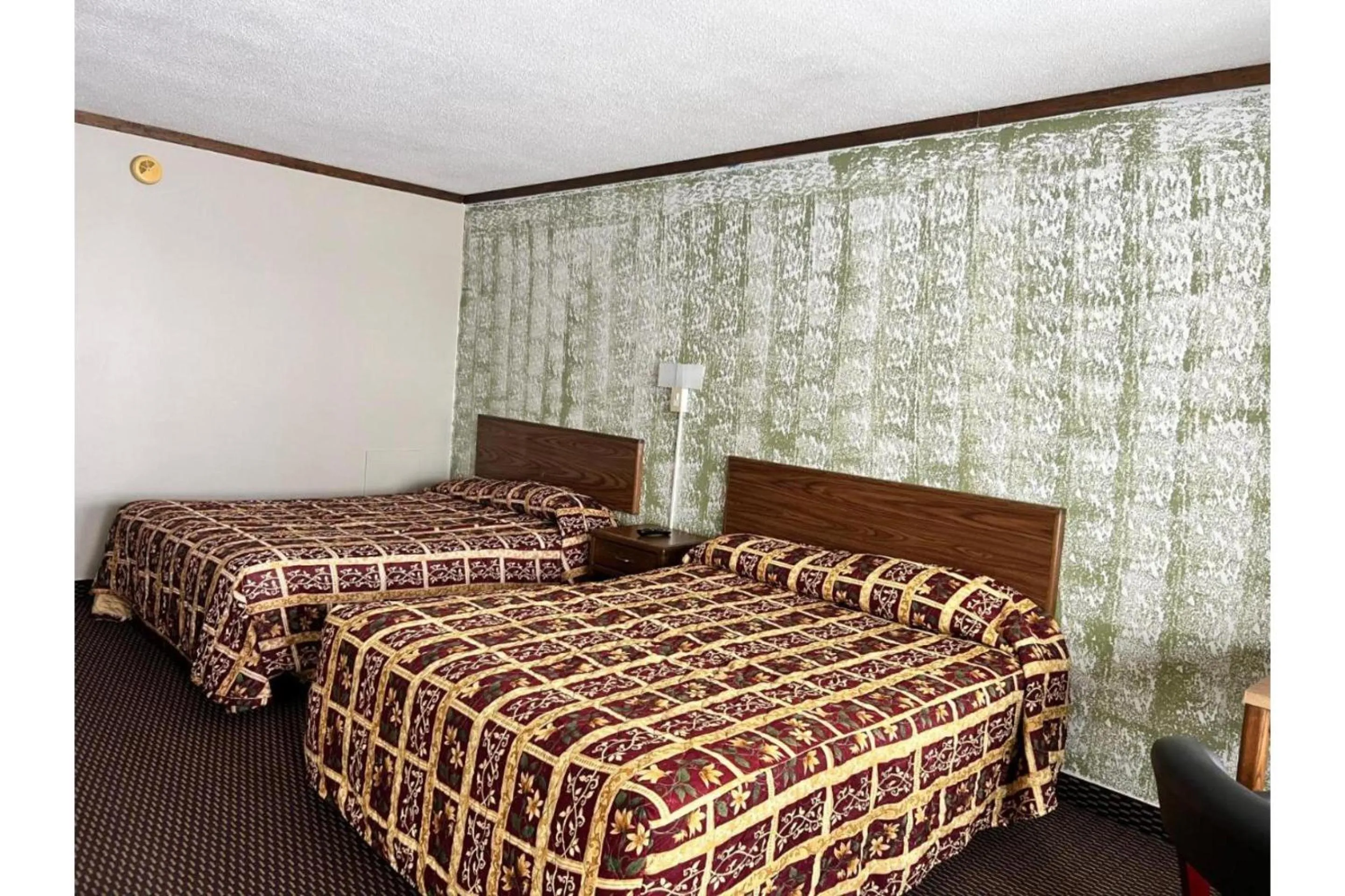 2 Queen Beds Non-Smoking in Devils Lake Inn By OYO Near Devils Lake Regional Airport