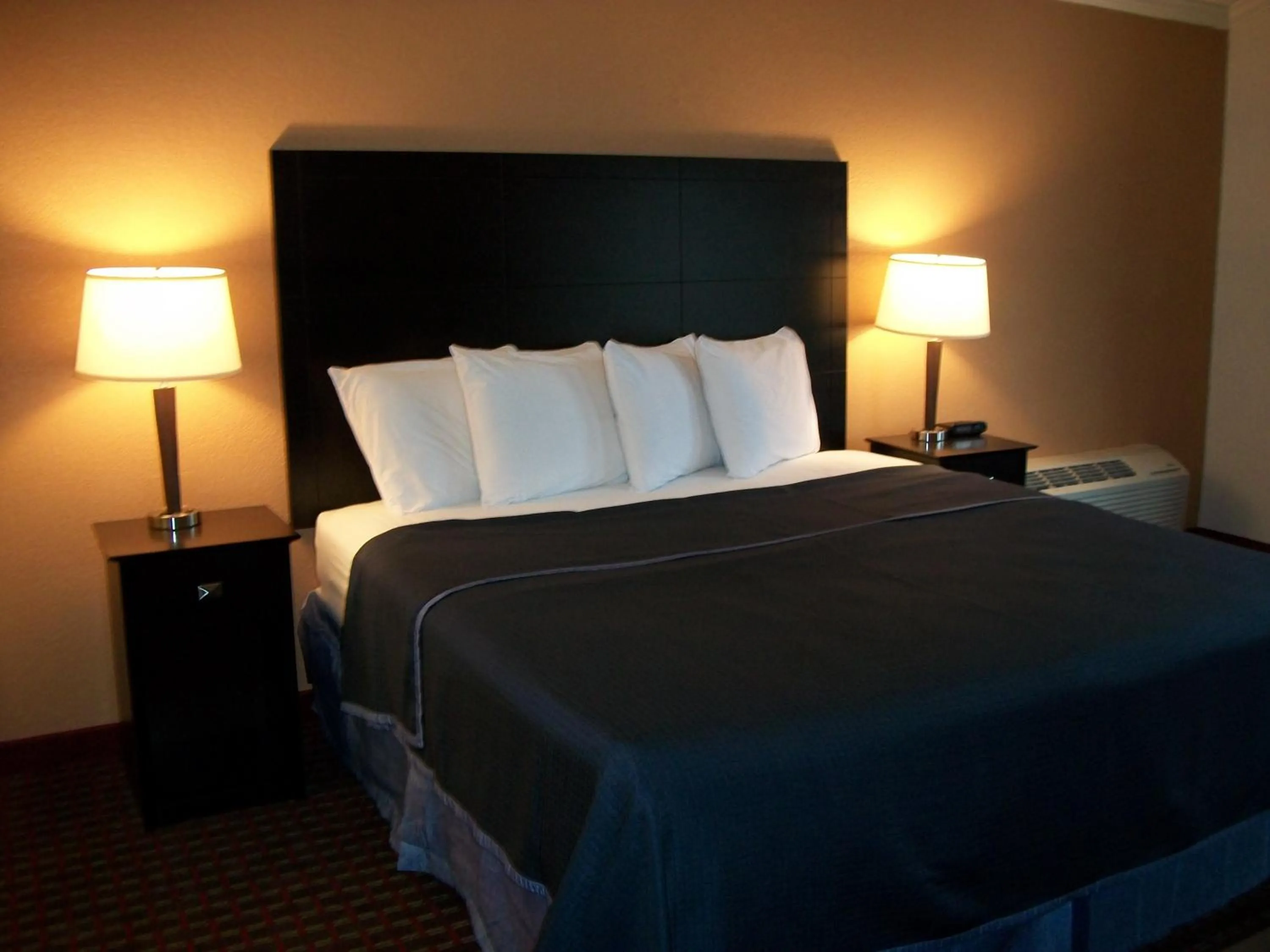 Queen Room in Americas Best Value Inn Romulus/Detroit Airport