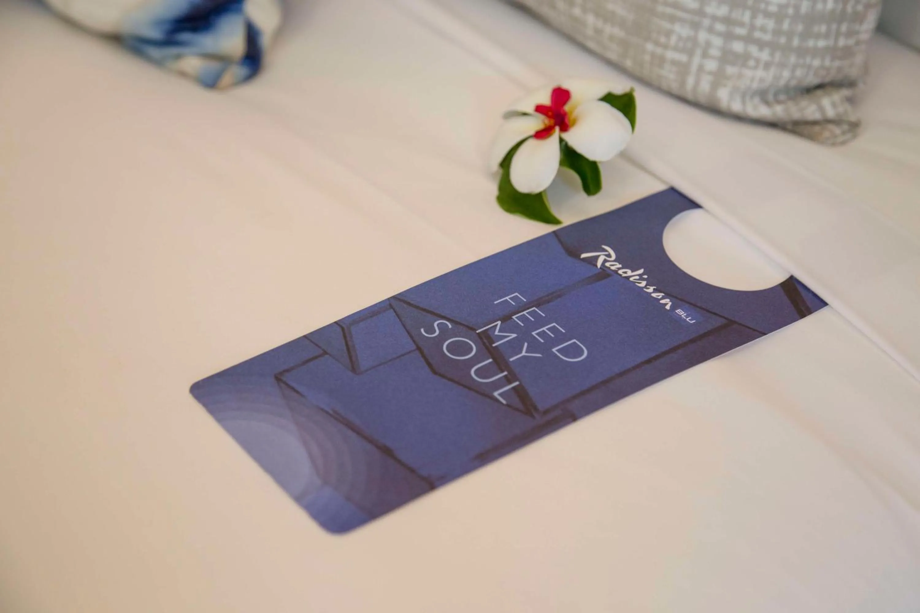 Superior Lagoon View Room in Radisson Blu Resort Fiji