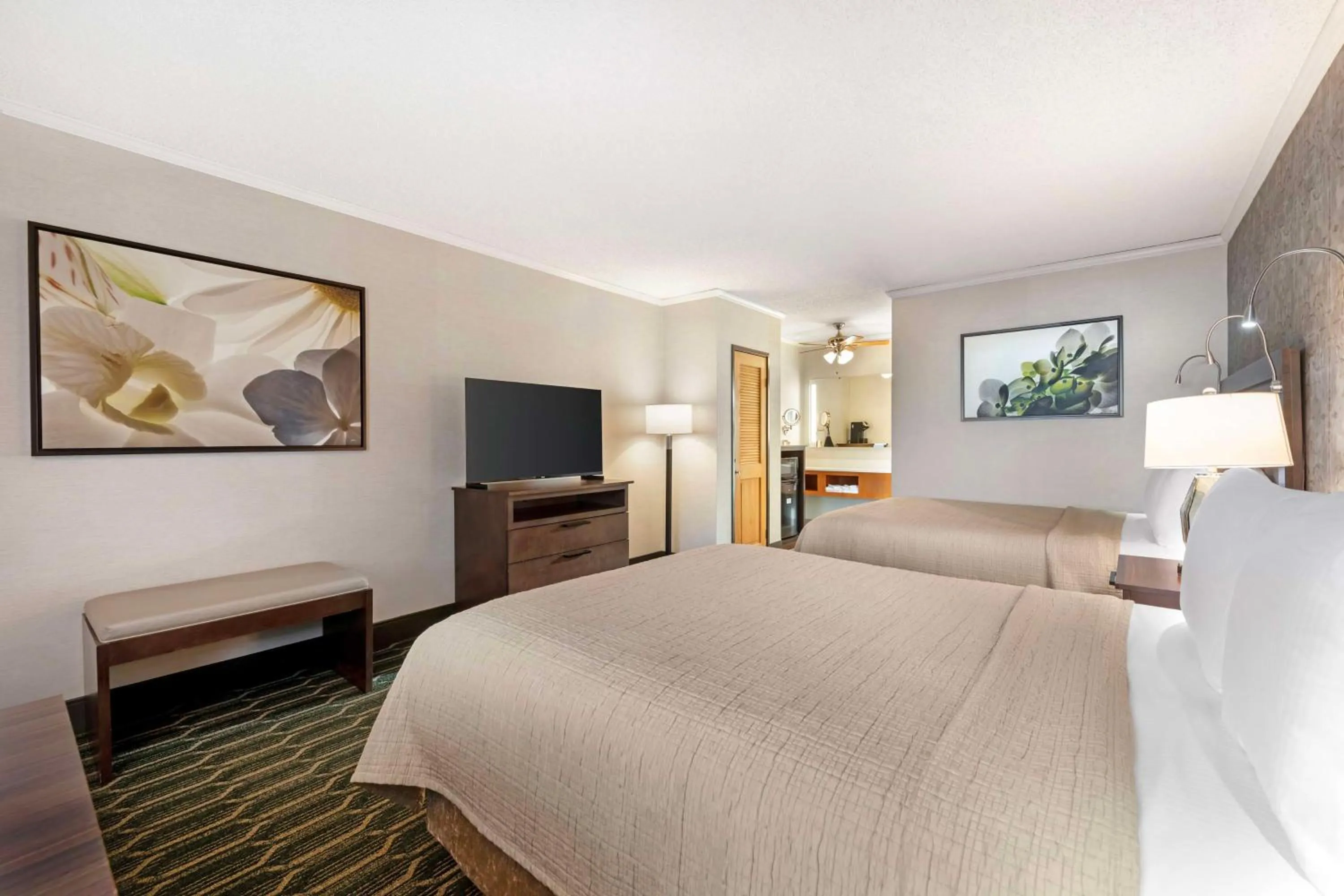 Queen Room with Two Queen Beds-Disability Access in Best Western Plus Black Oak