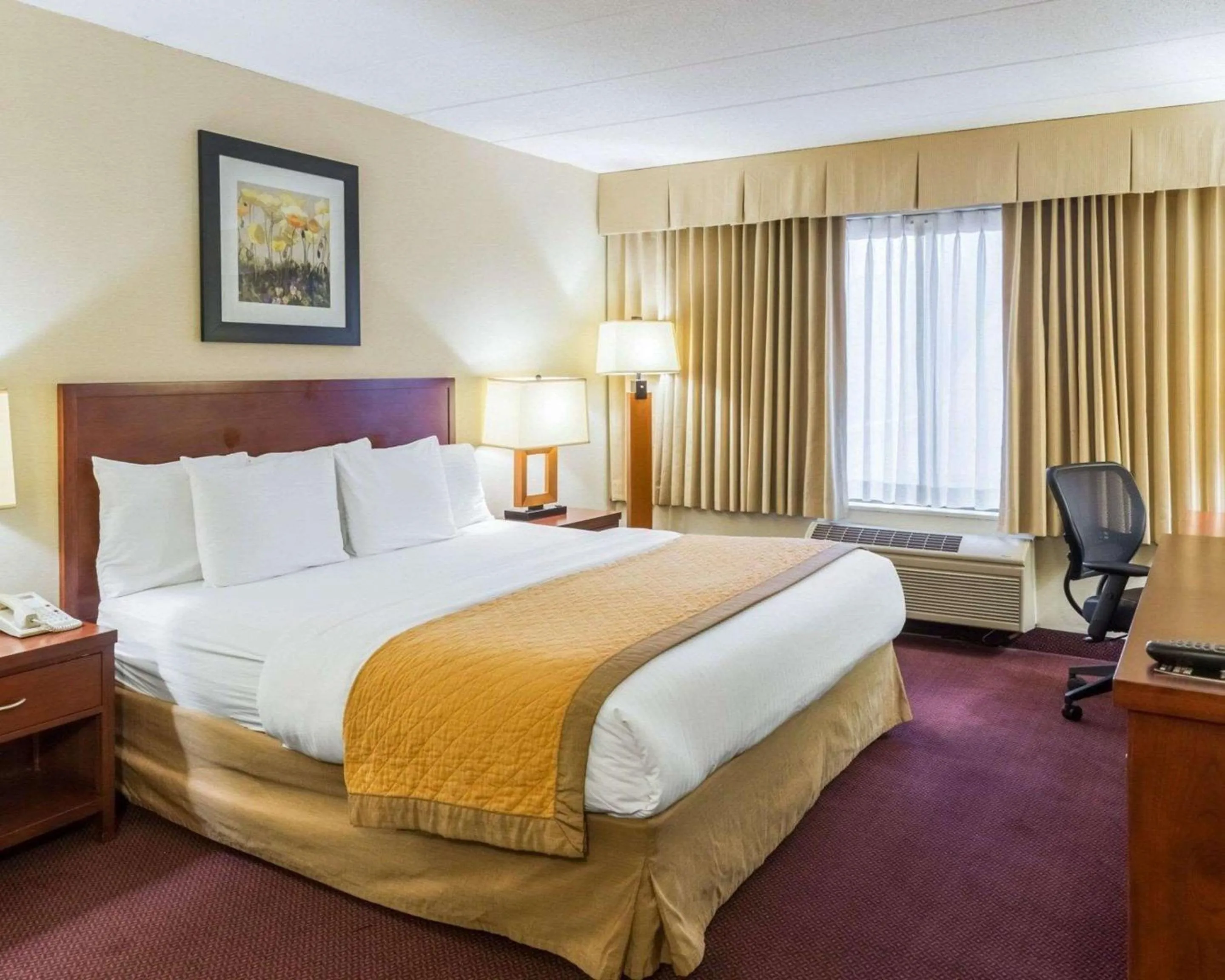 King Room - Non-Smoking in Clarion Hotel Somerset - New Brunswick