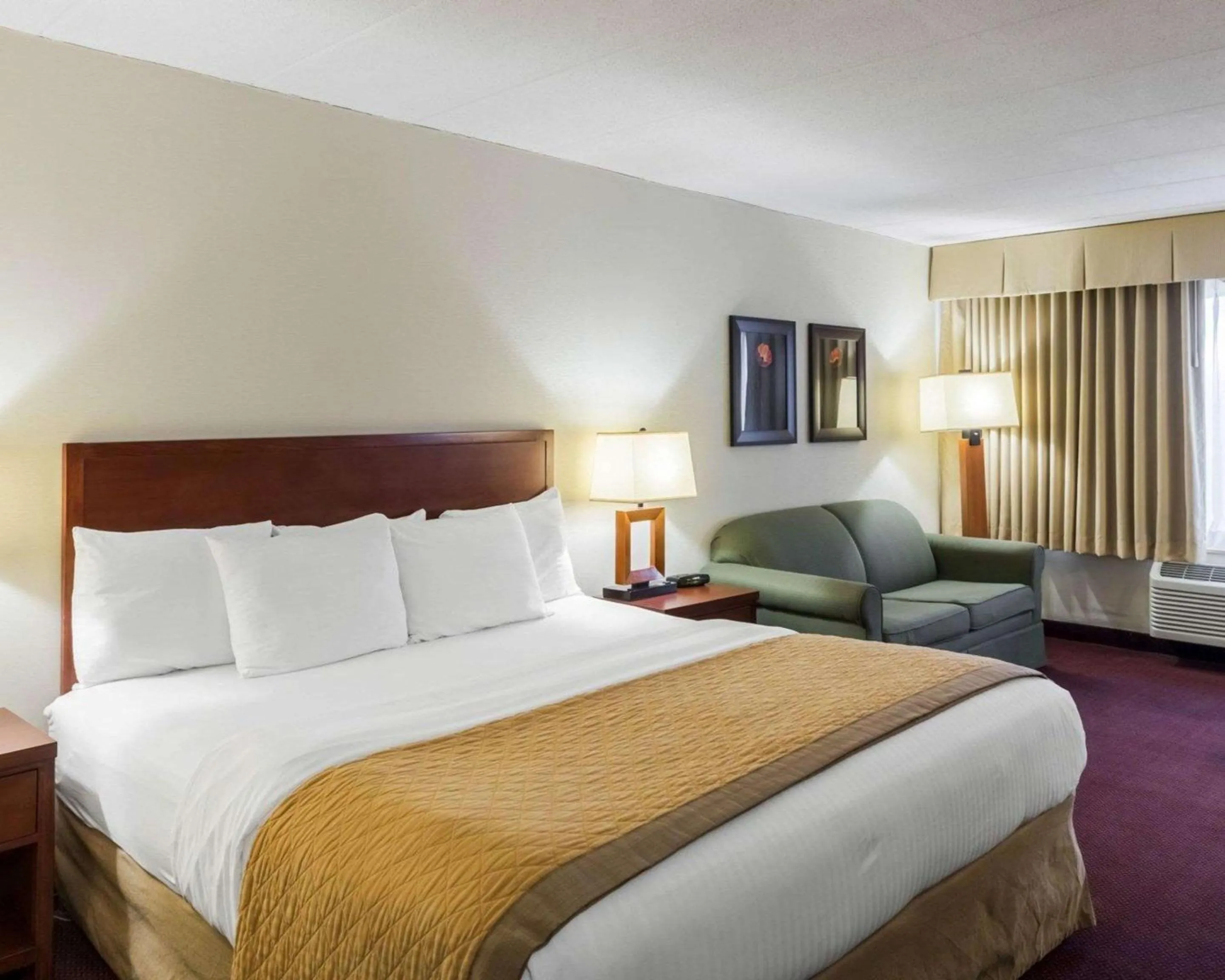 King Room with Sofa Bed in Clarion Hotel Somerset - New Brunswick