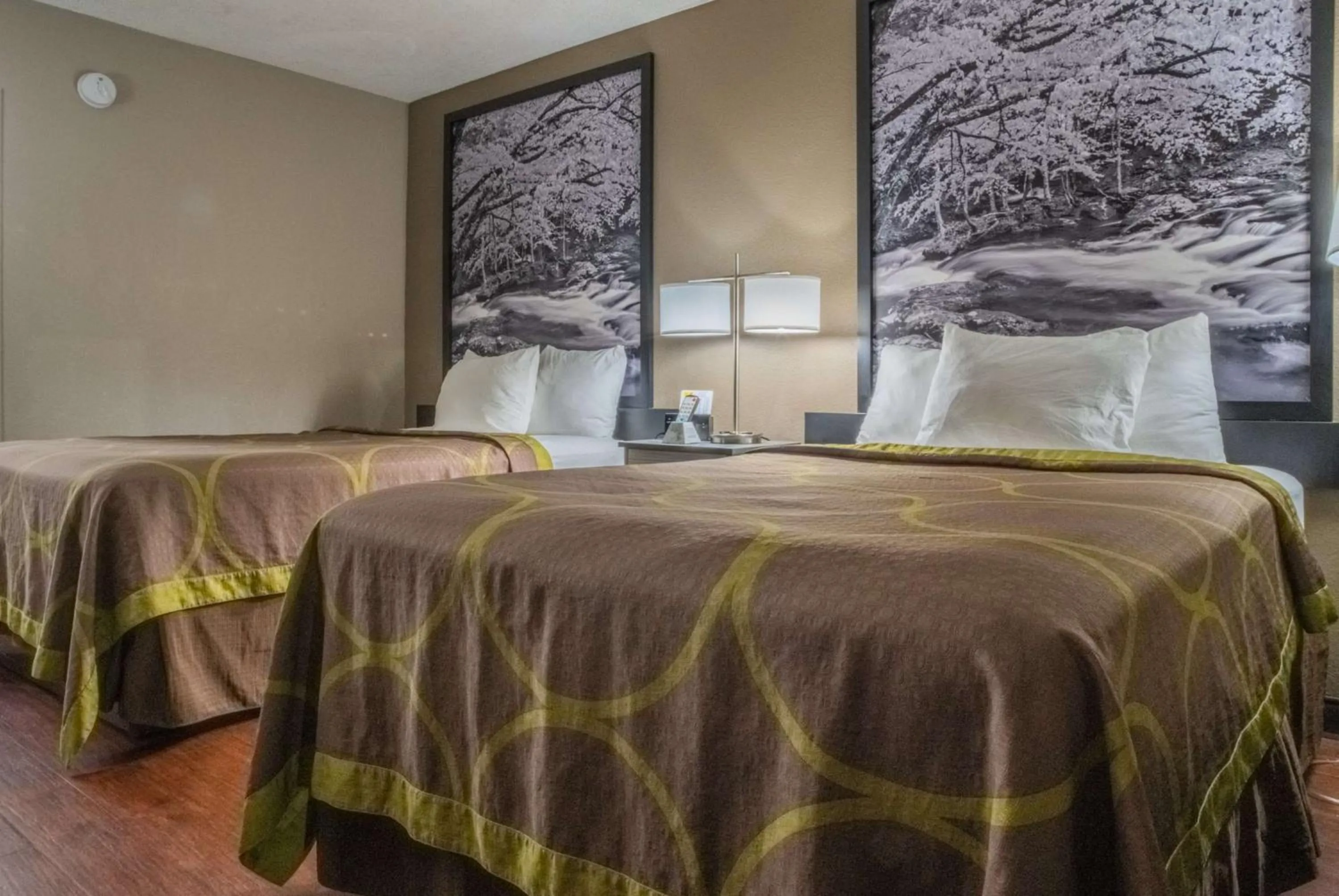 Double Room with Two Double Beds - Non-Smoking in Super 8 by Wyndham Downtown Gatlinburg at Convention Center