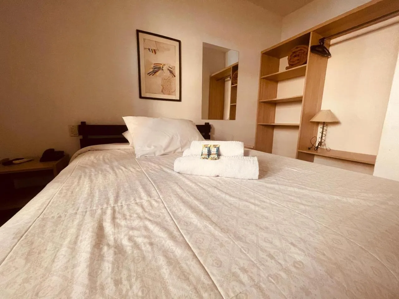 Standard Double Room in Zermatt Hotel