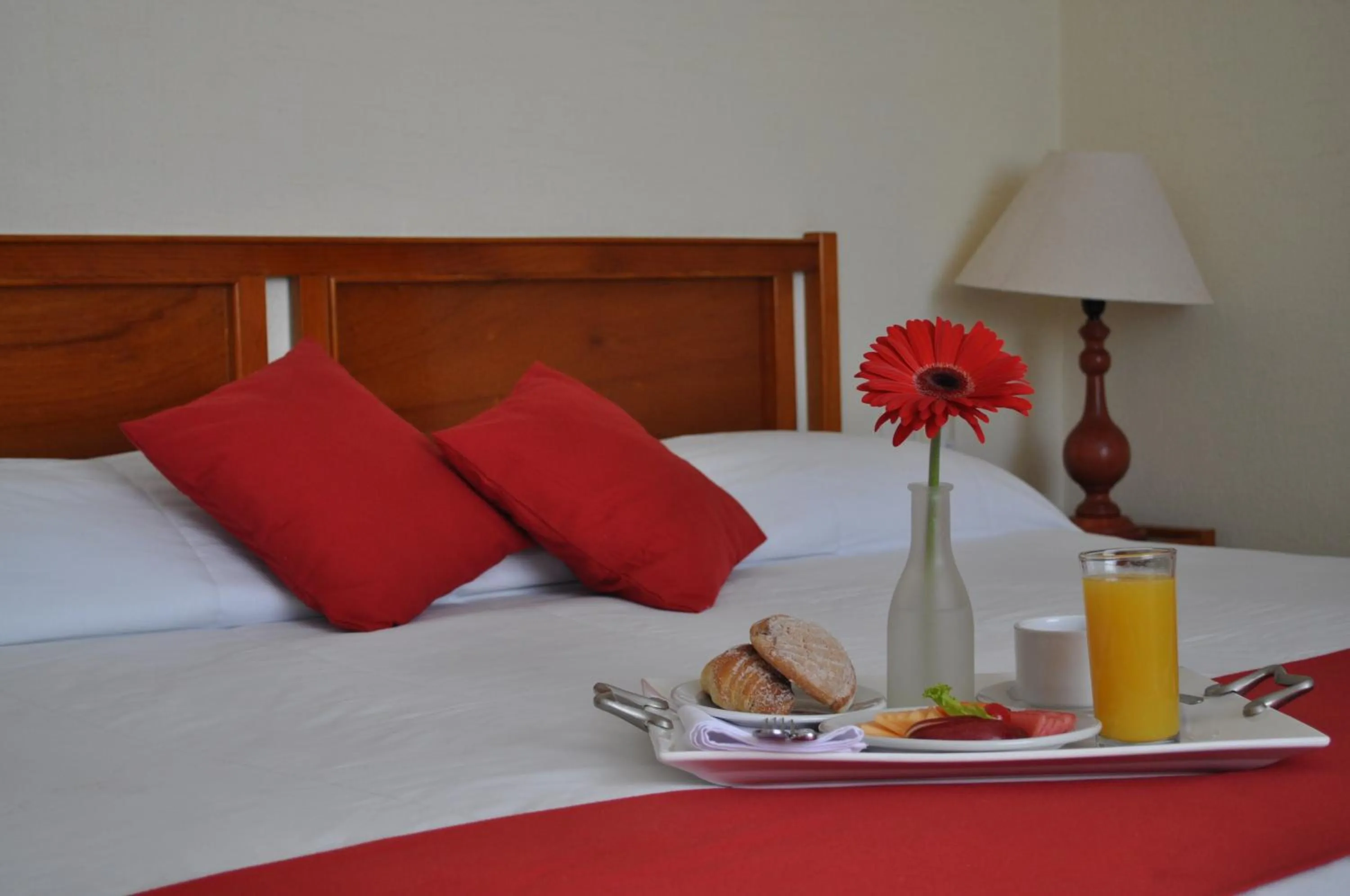 Standard Suite - single occupancy in Hotel Señorial Tlaxcala