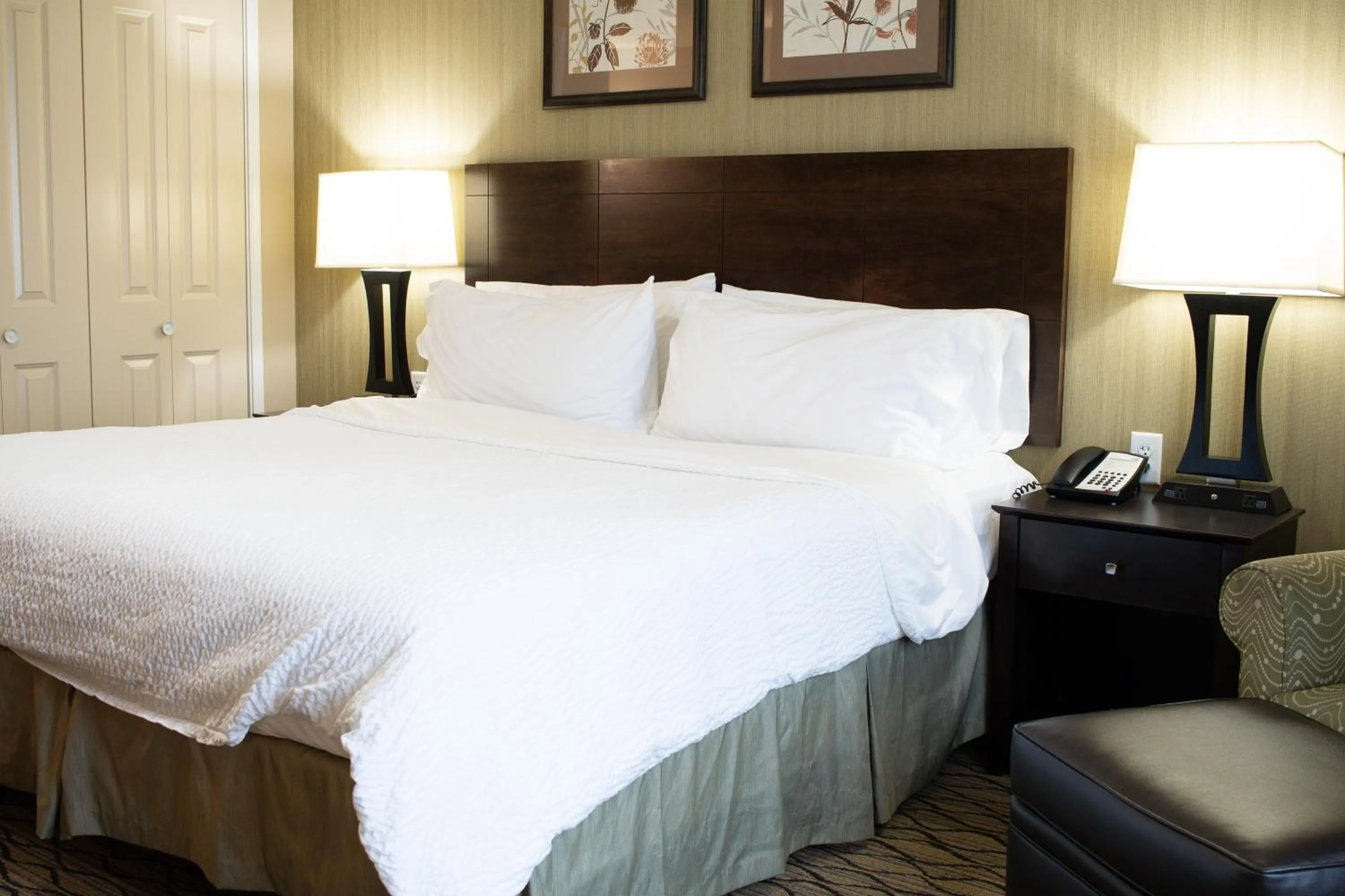 King Room - Hearing Accessible/Non-Smoking  in Holiday Inn Express & Suites - Williston by IHG