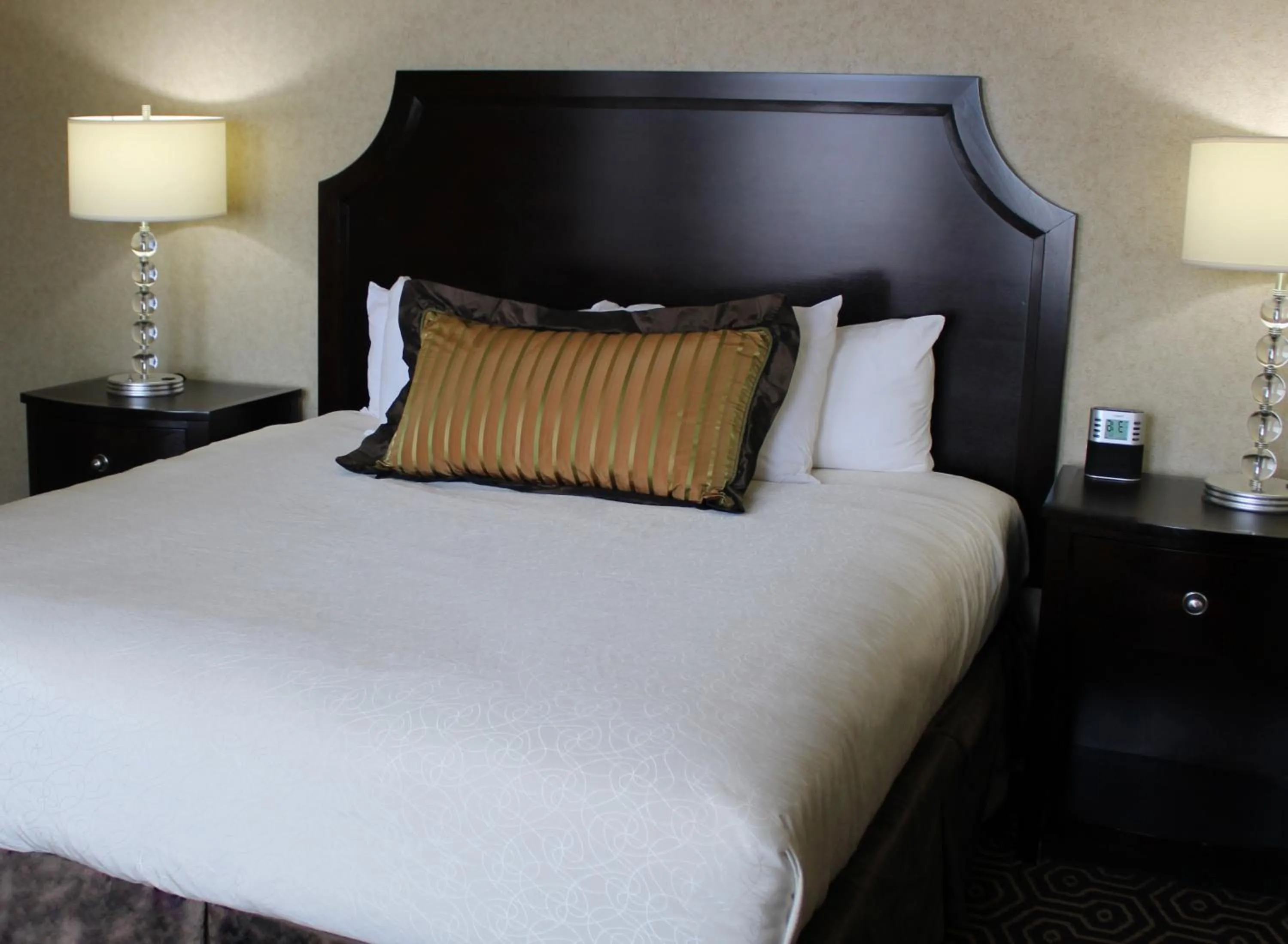 Queen Room in Hotel Julien Dubuque