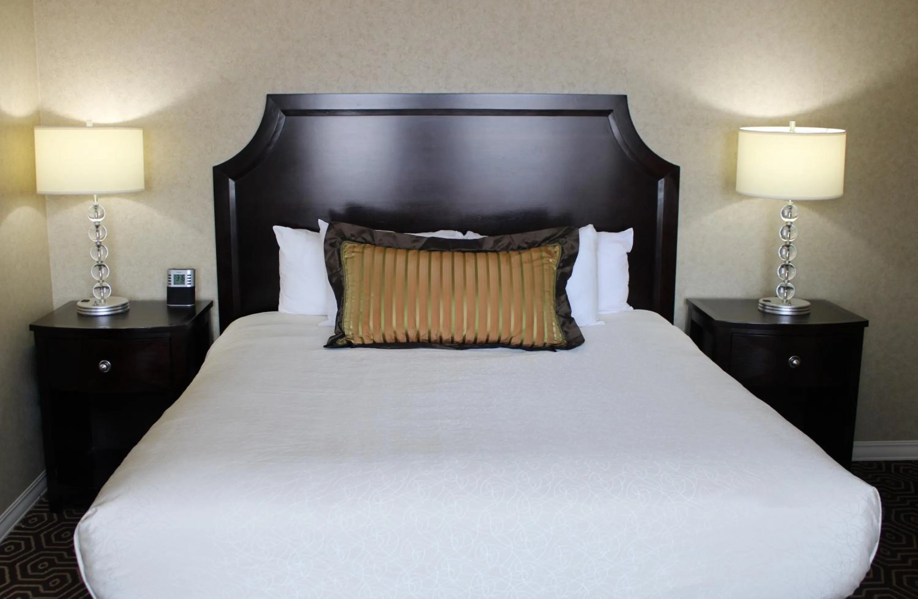 Standard King Room - single occupancy in Hotel Julien Dubuque