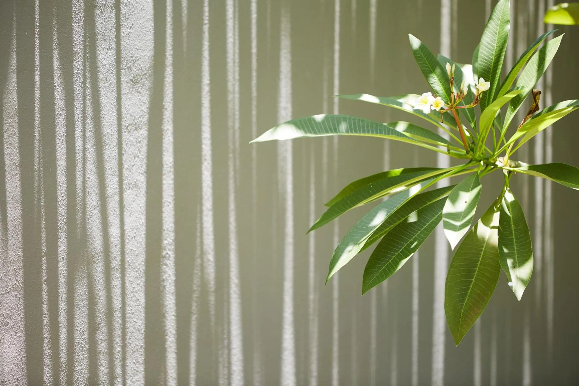 2-Bedroom Deluxe Suite in The Lombok Lodge Suites & Private Villas