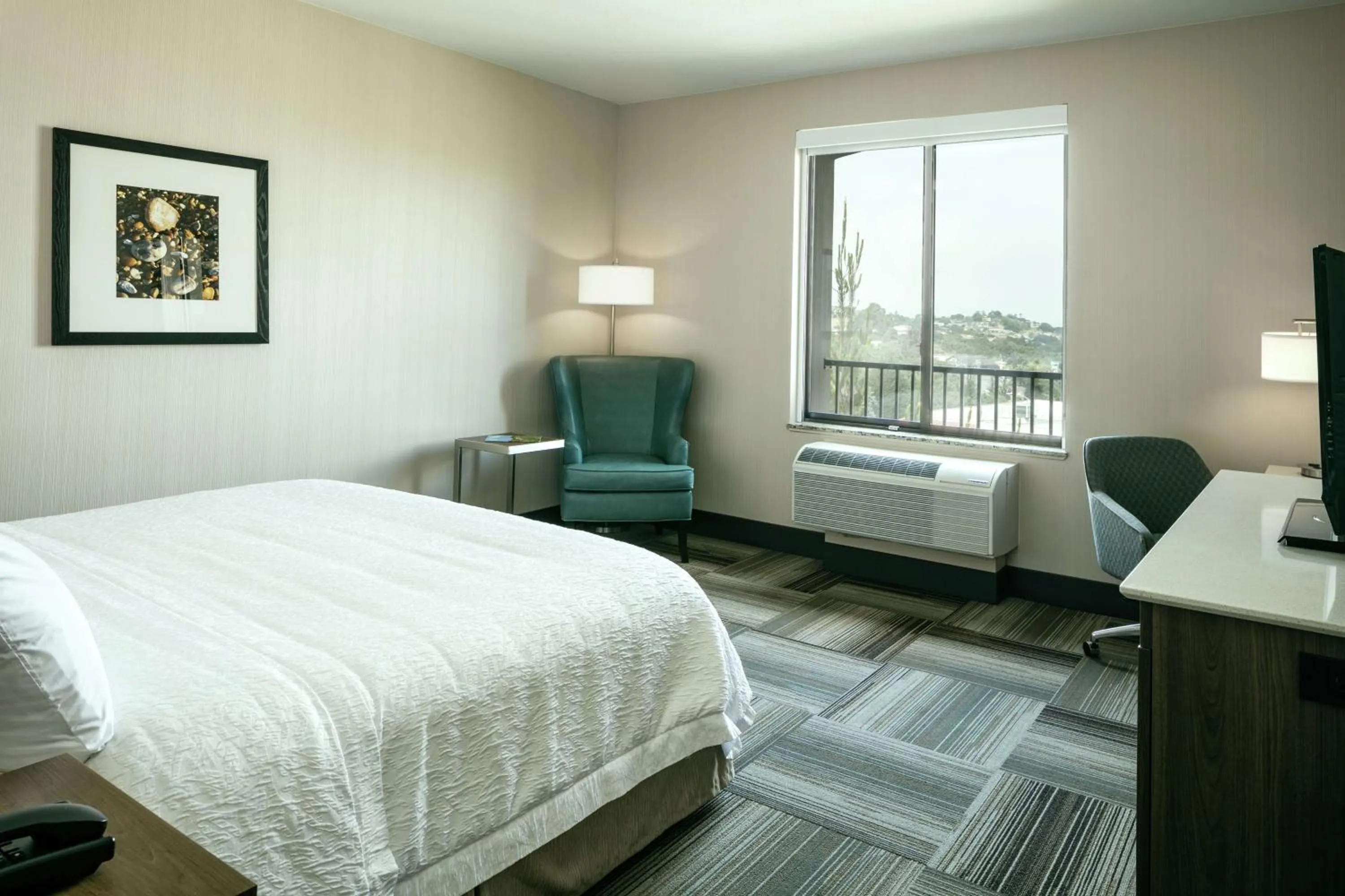 King Guest Room in Hampton Inn & Suites Arroyo Grande