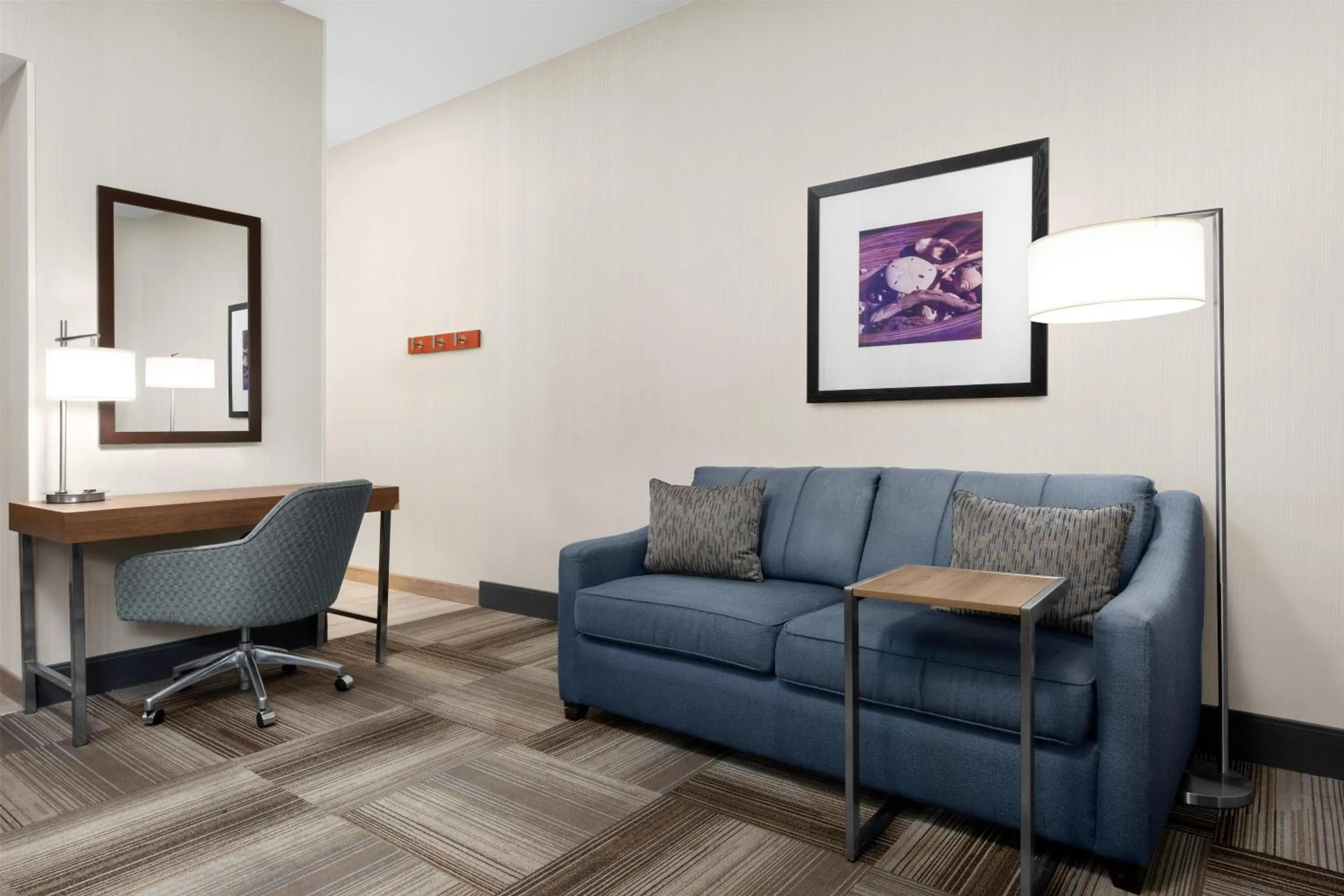 King Studio with Roll-In Shower - Disability Access in Hampton Inn & Suites Arroyo Grande