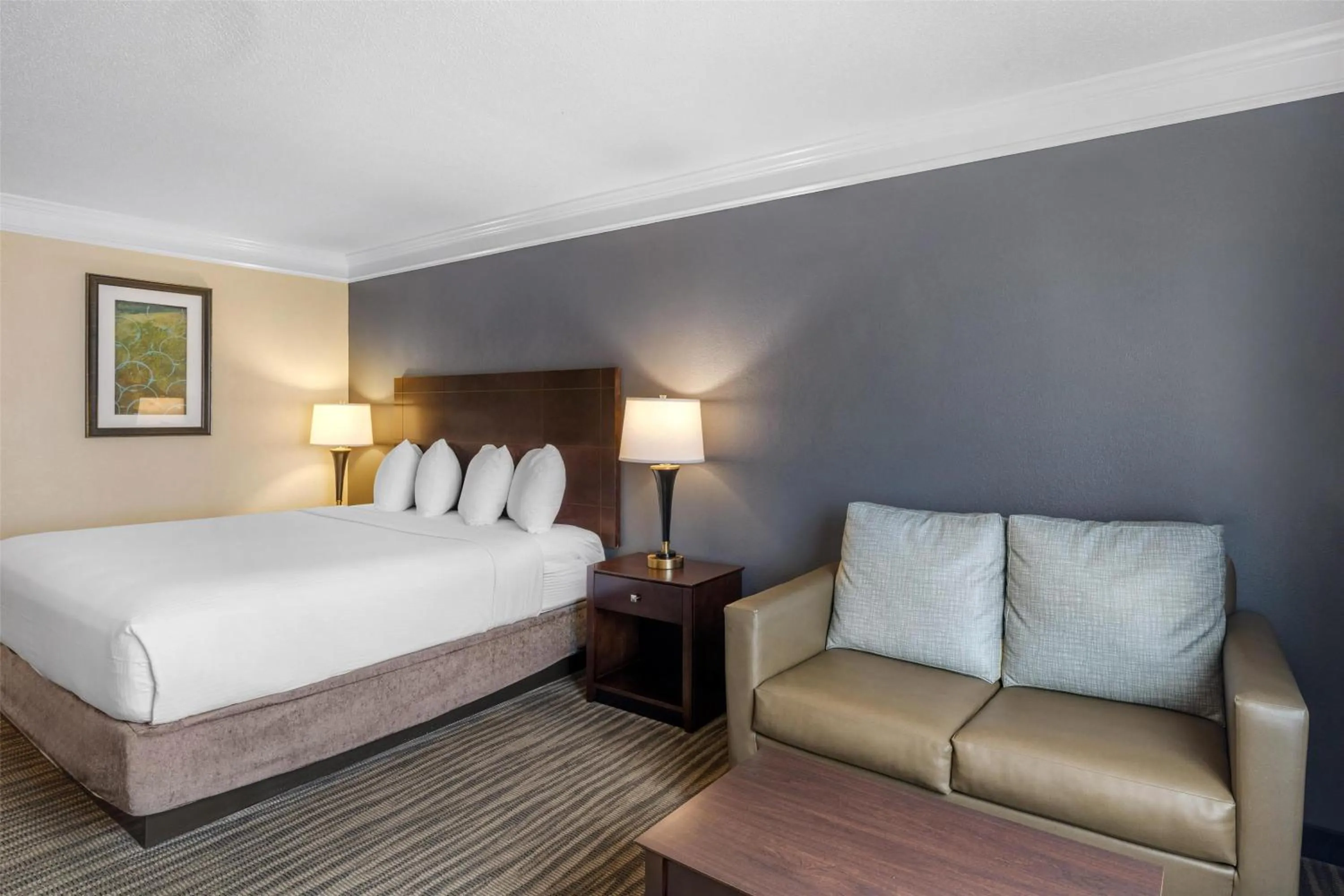 King Room with Sofa Bed - Non-Smoking in Best Western Augusta West