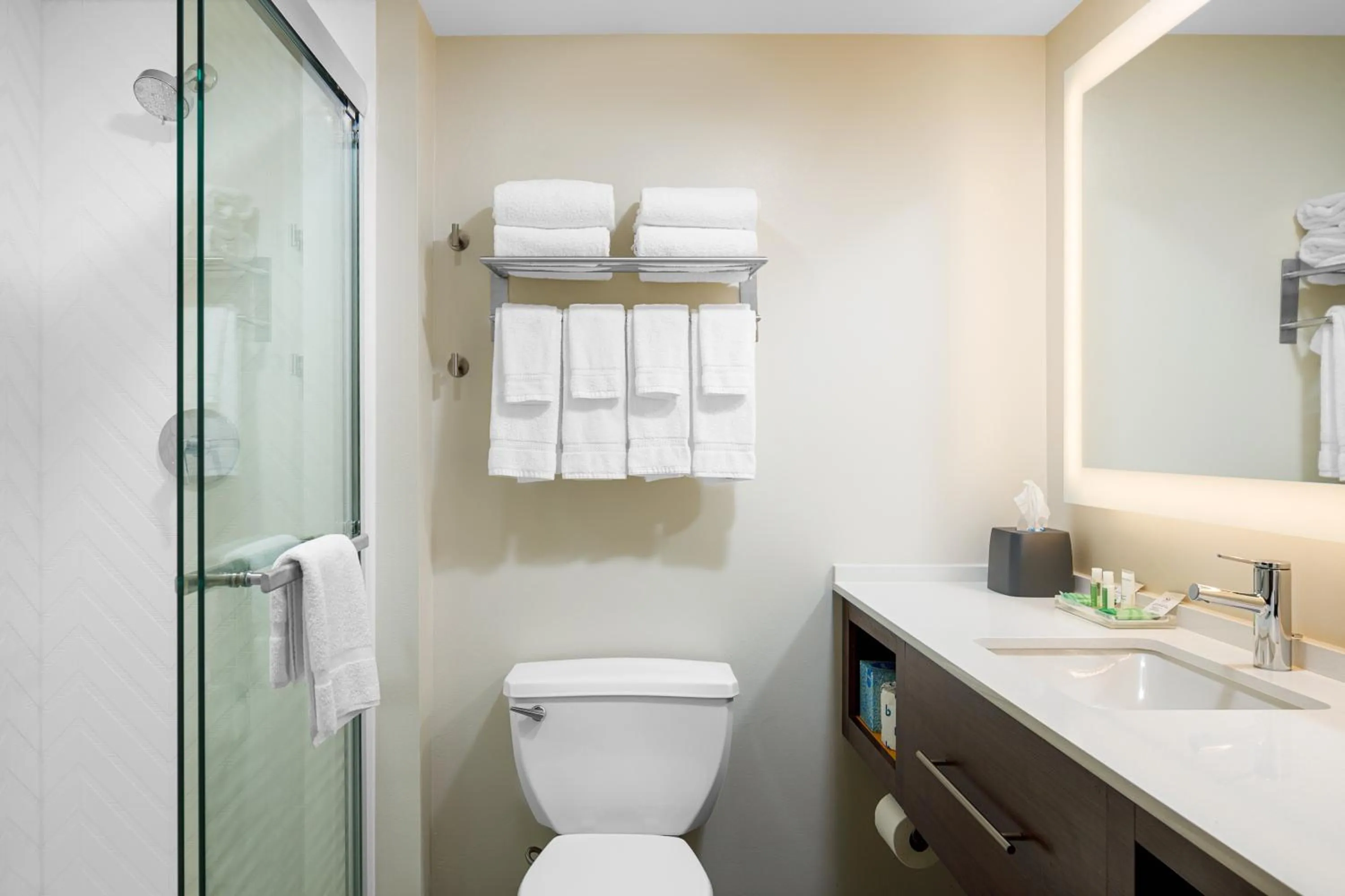 Suite with Mobility Accessible Tub - Non-Smoking in Holiday Inn Cleveland by IHG