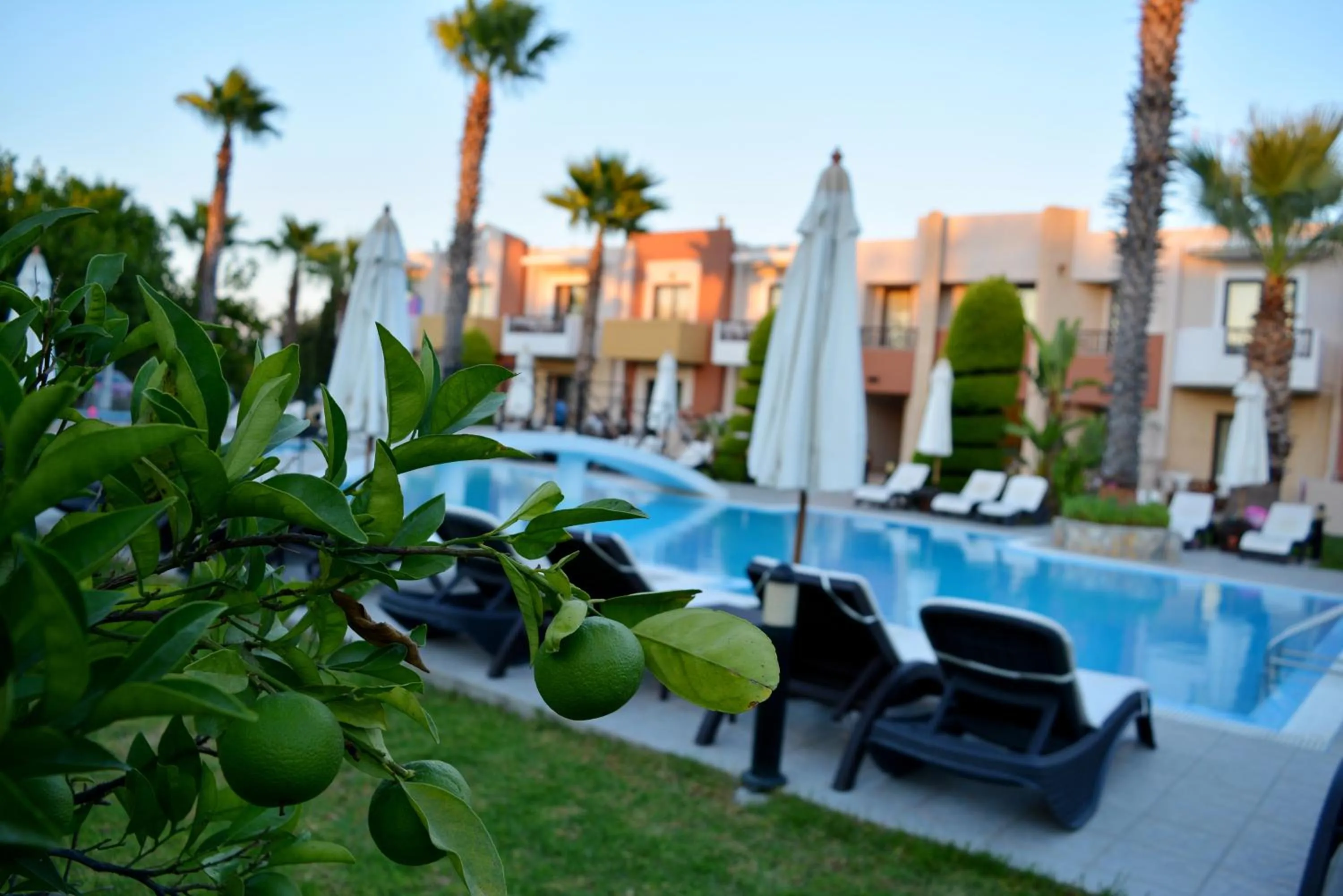 Comfort Twin Apartment with Pool View in Stavros Melathron Studios