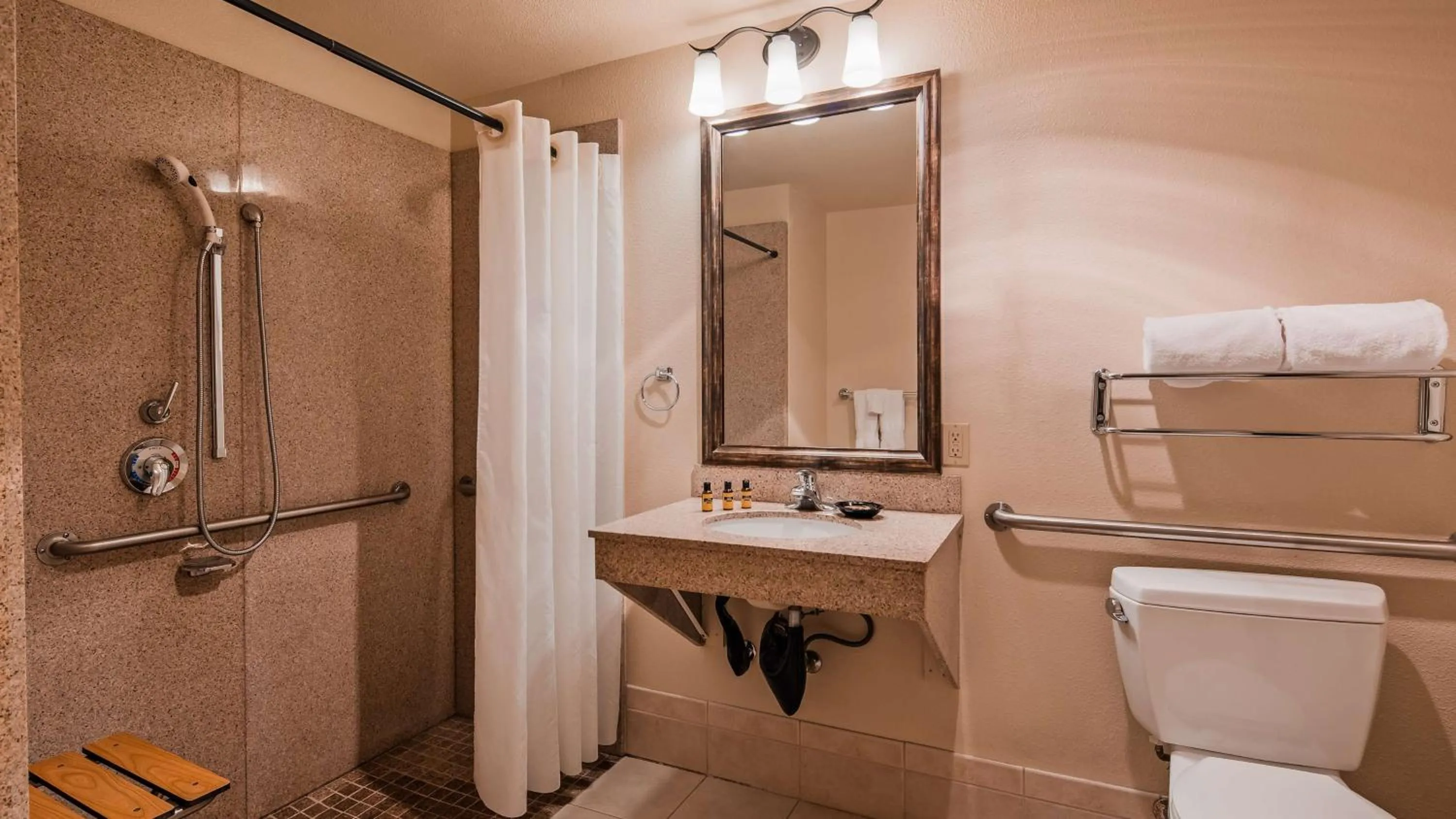 Queen Room with Roll-In Shower - Disability Access in Best Western Plus Rivershore Hotel