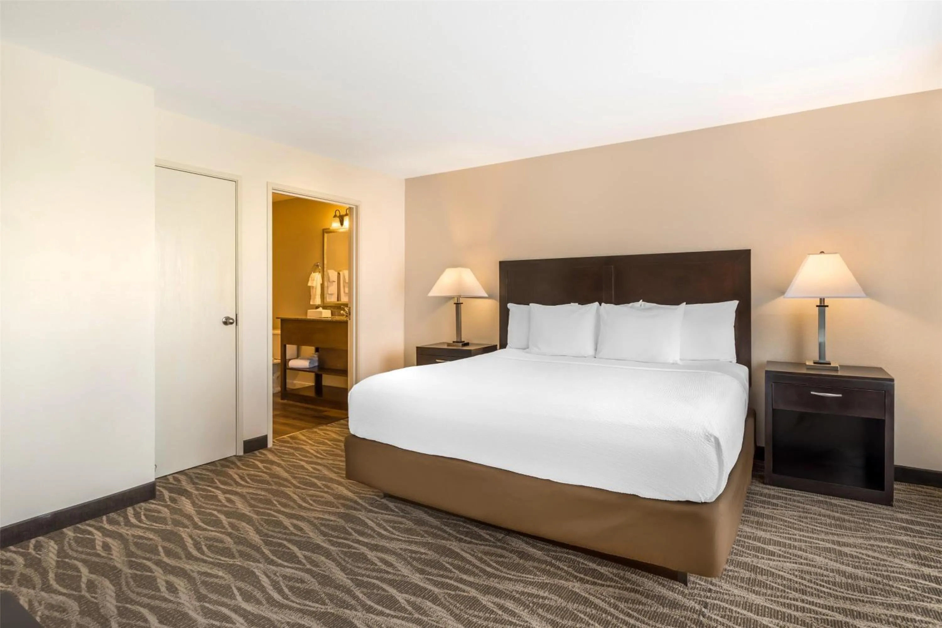 Standard King Room in Best Western Plus Valdosta Hotel & Suites