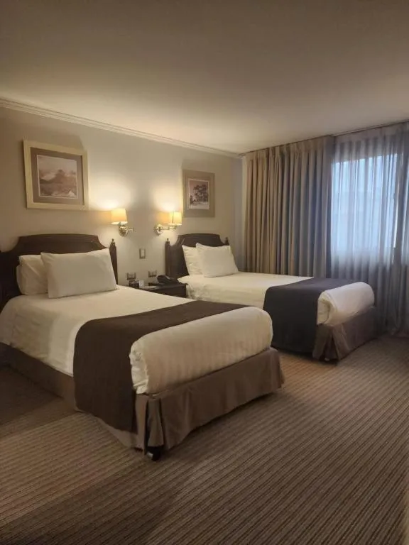 Superior Twin Room in Hotel Los Españoles Plus