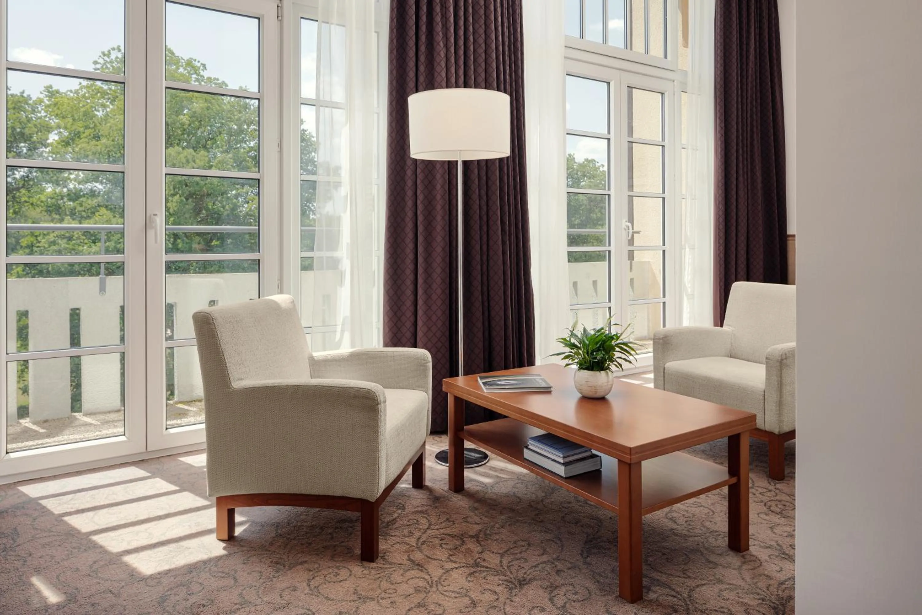 Junior Suite with Park View in Harvey Spa Hotel