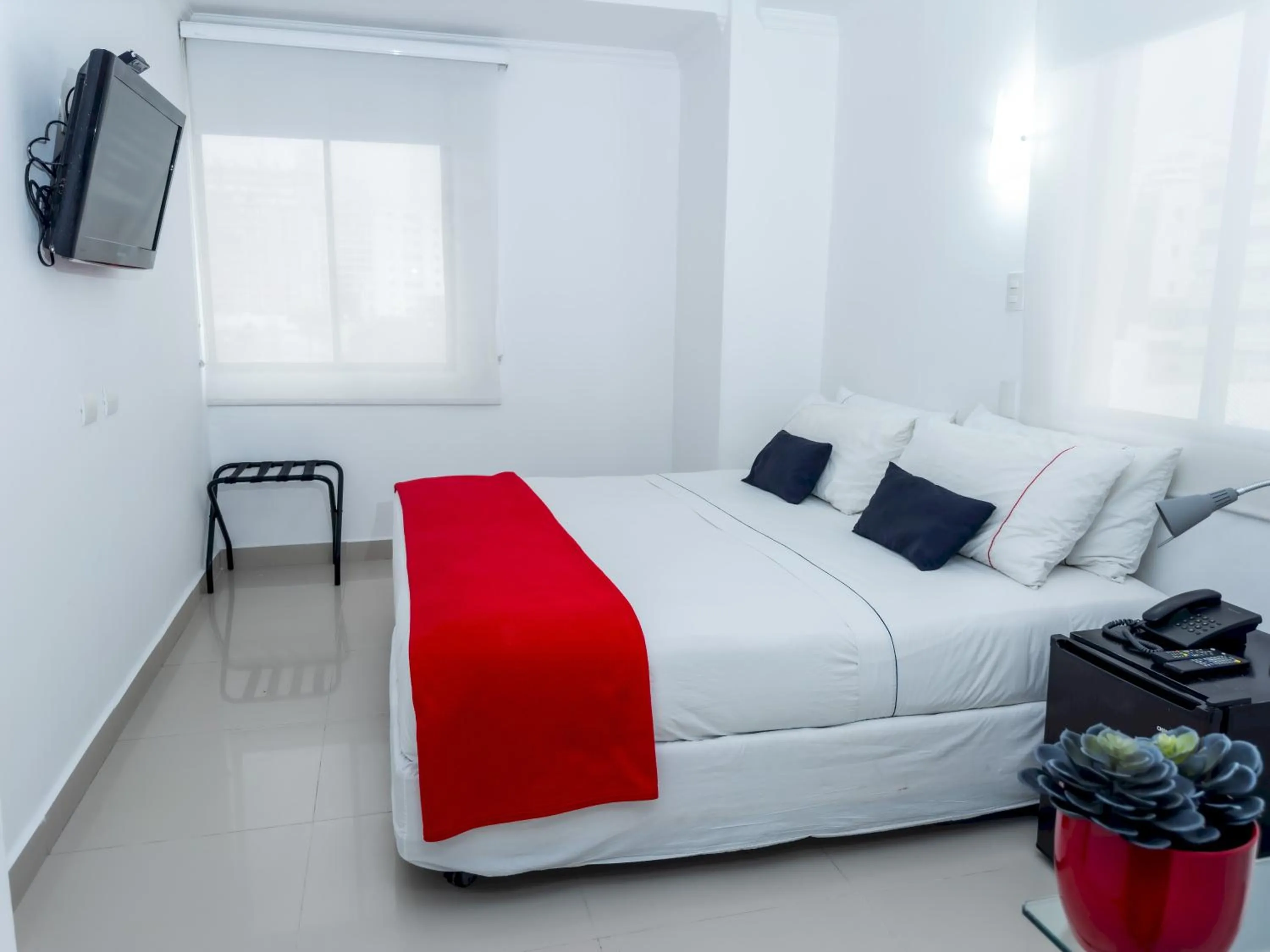 Standard Double Room in Zalmedina Hotel