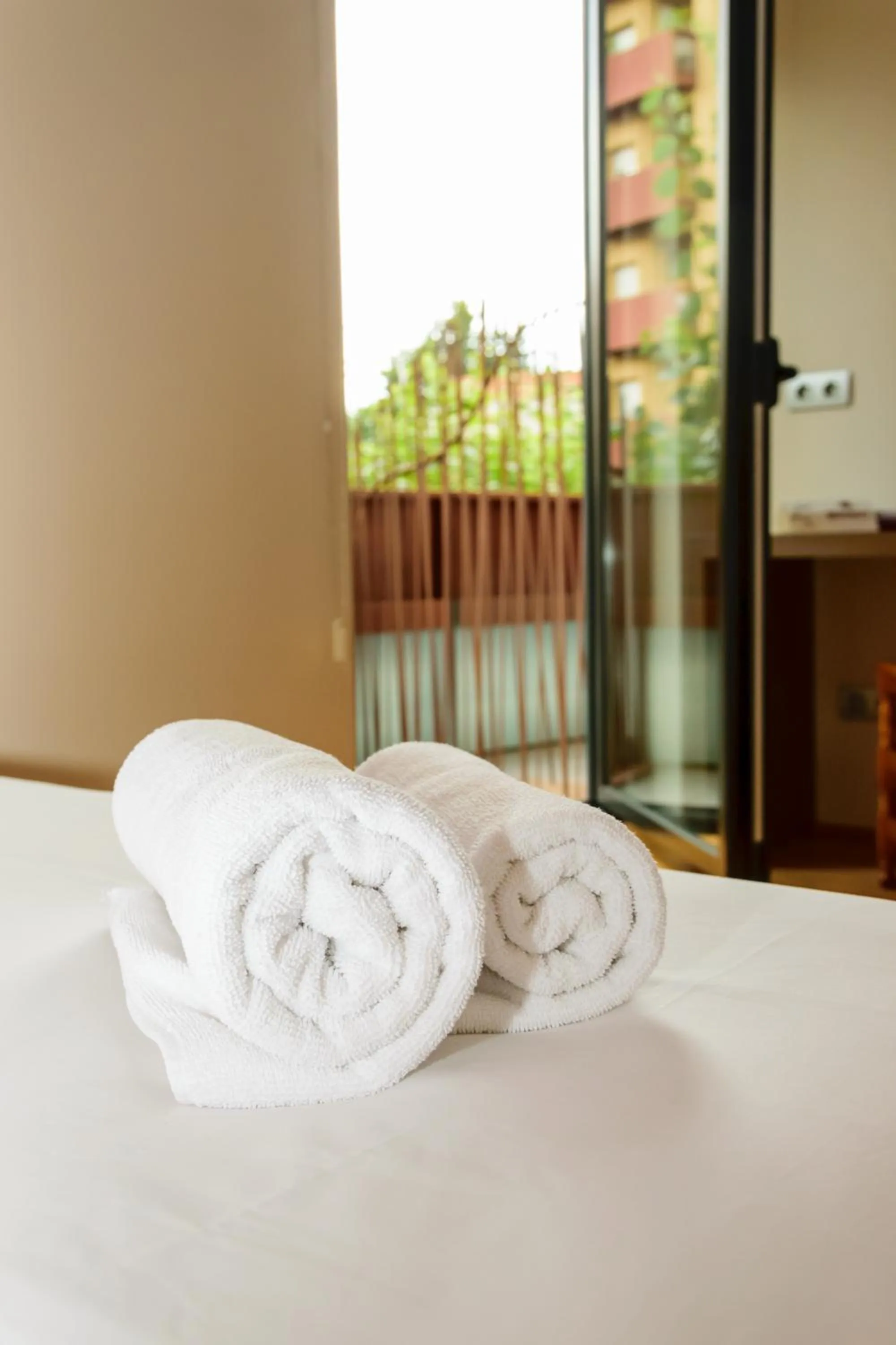 Double Room - single occupancy in Hotel Estació