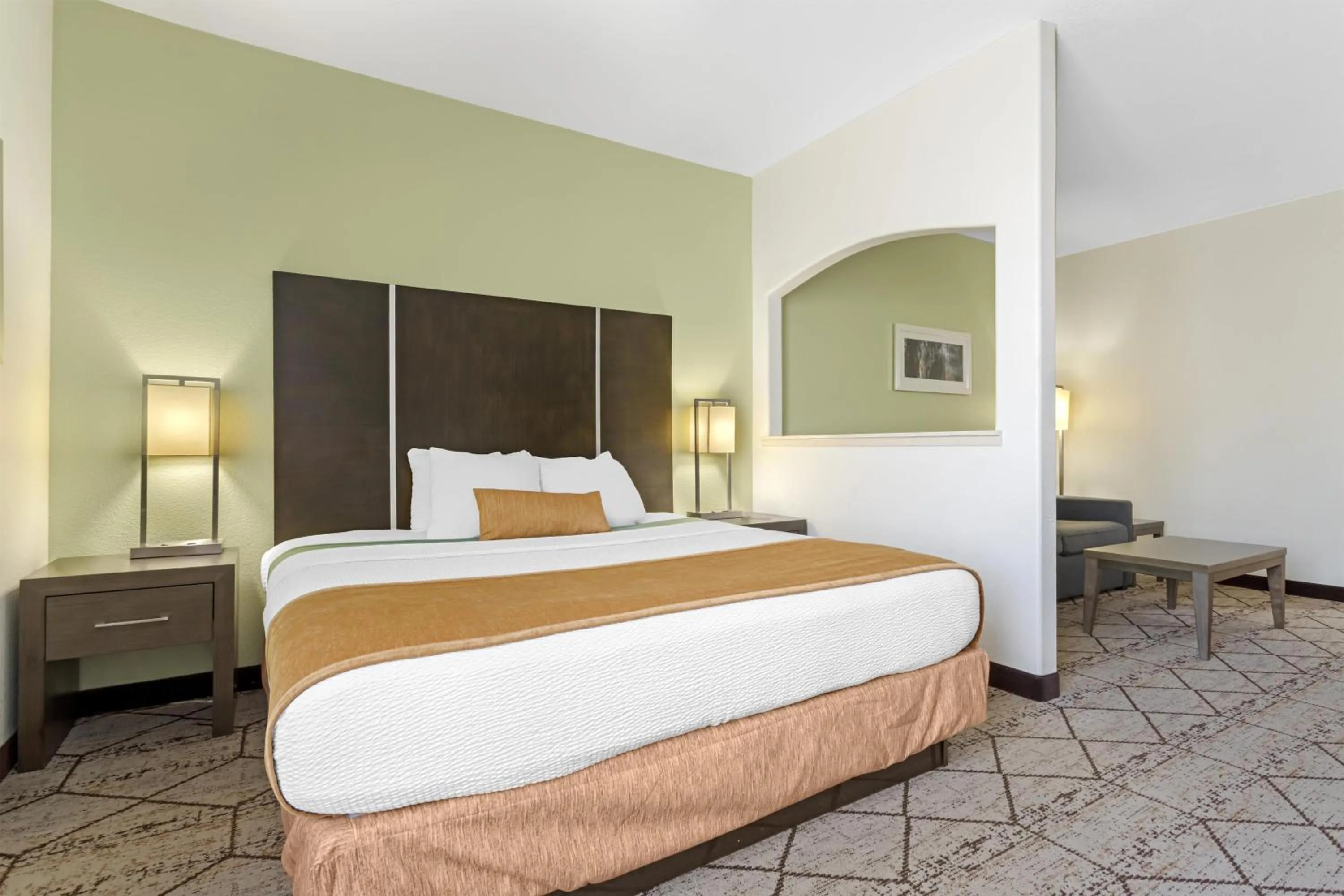 King Suite - single occupancy - Non-Smoking in Best Western Plus North Houston Inn & Suites