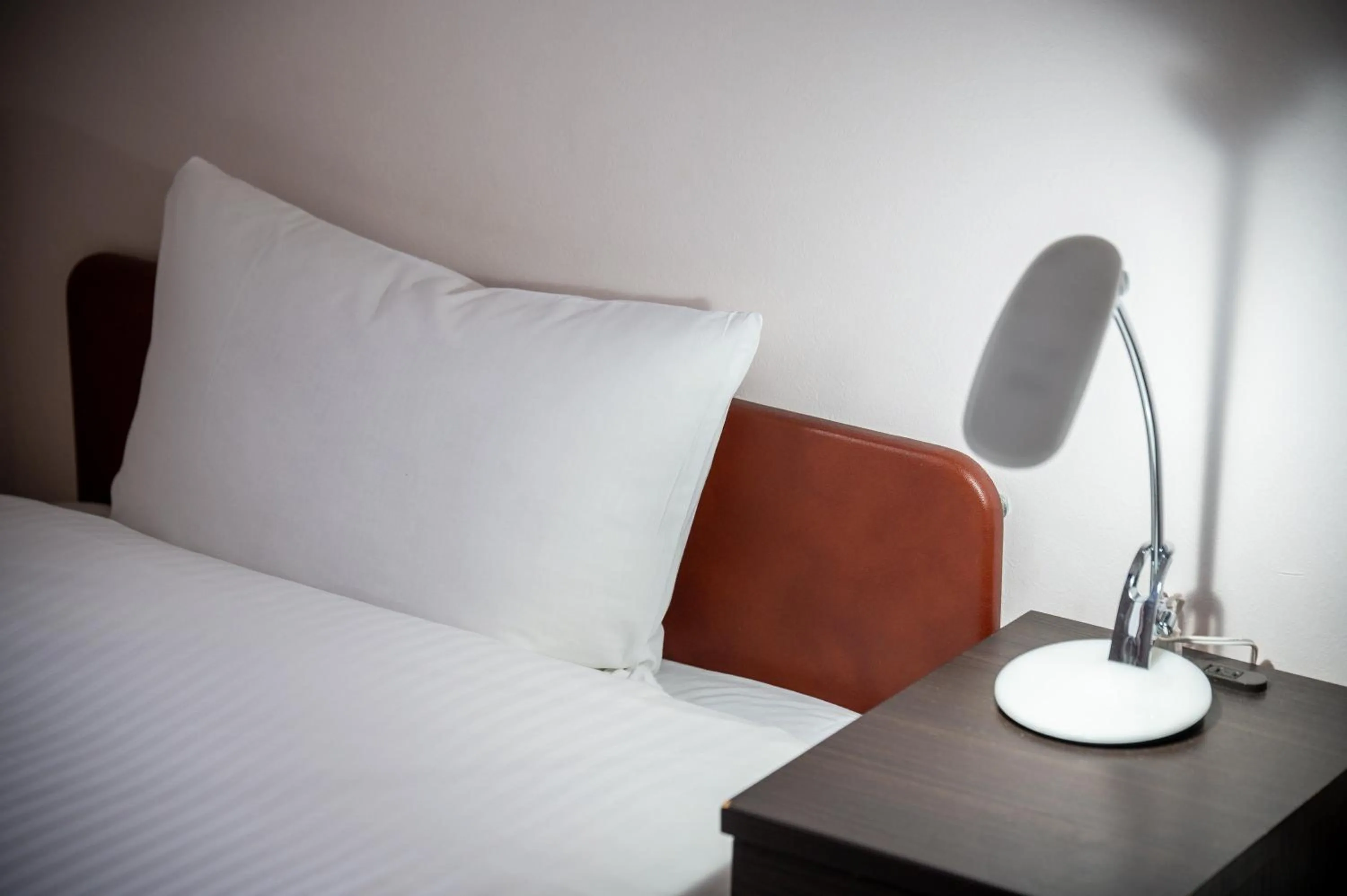 Double Room - Non-Smoking  in Kagoshima Daiichi Hotel Kamoike