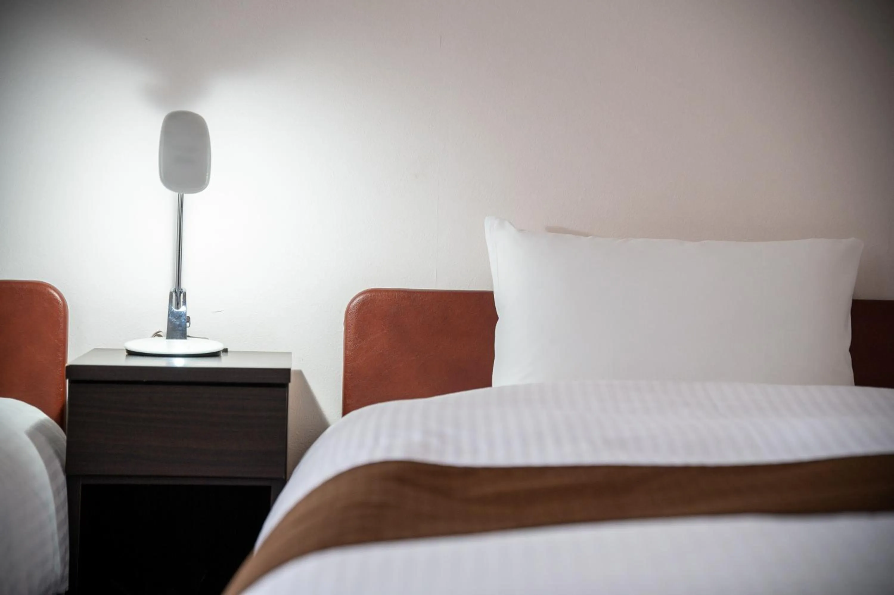 Twin Room - Non-Smoking in Kagoshima Daiichi Hotel Kamoike