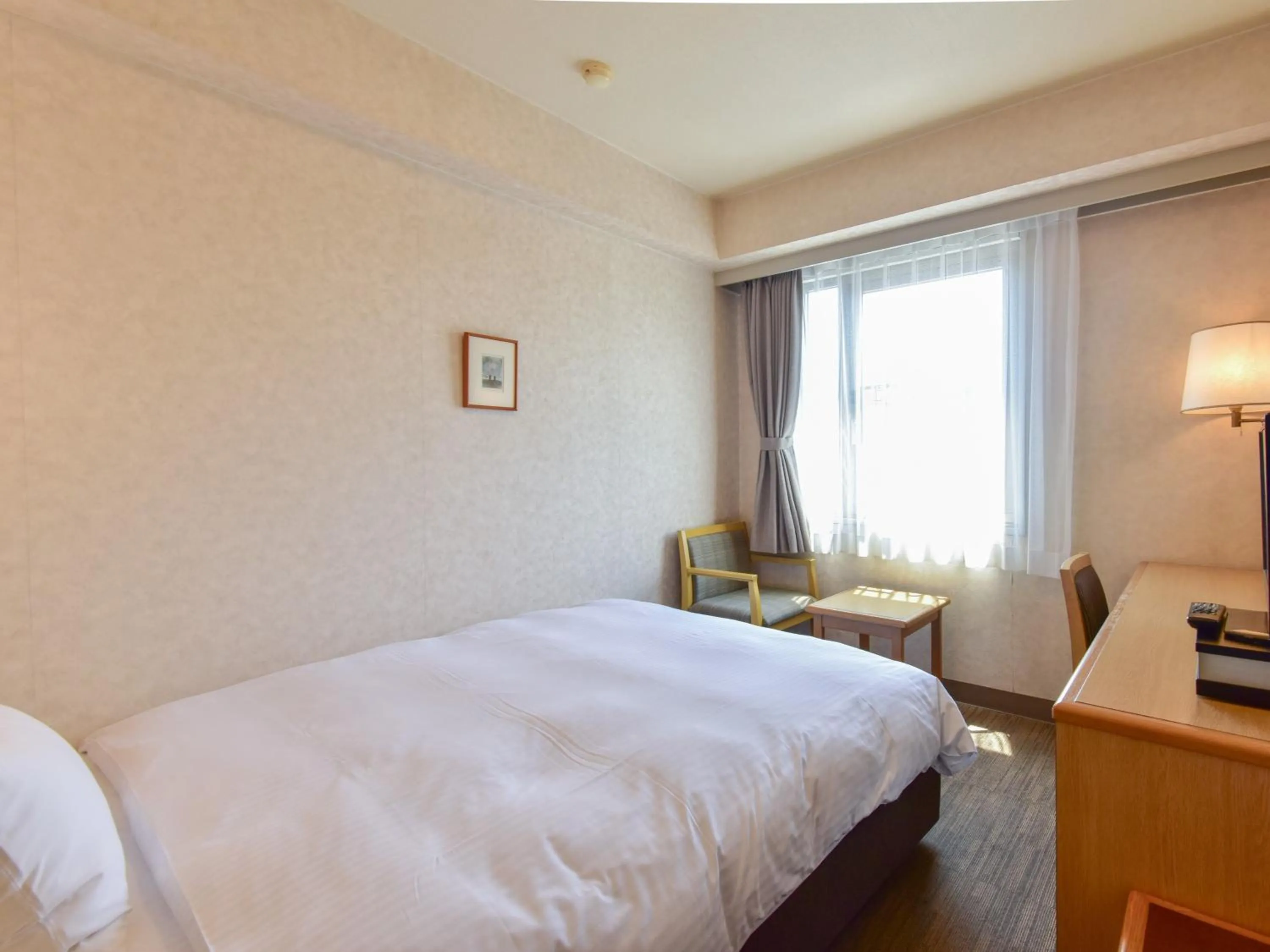 Double Room - single occupancy - Non-Smoking  in Yokkaichi City Hotel Annex