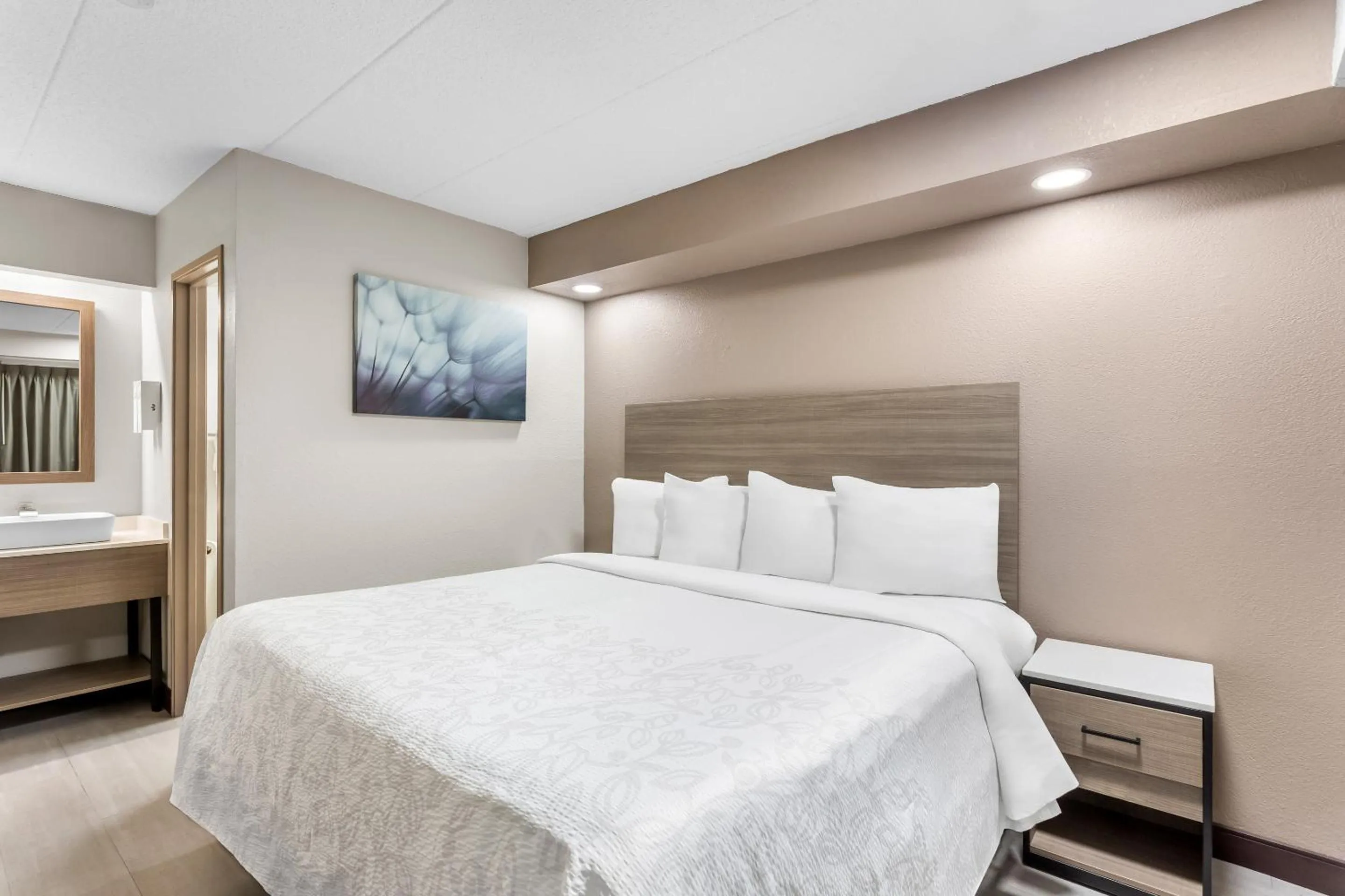 Standard King Room Disability Access Smoke Free in Red Roof PLUS Chicago - Hoffman Estates