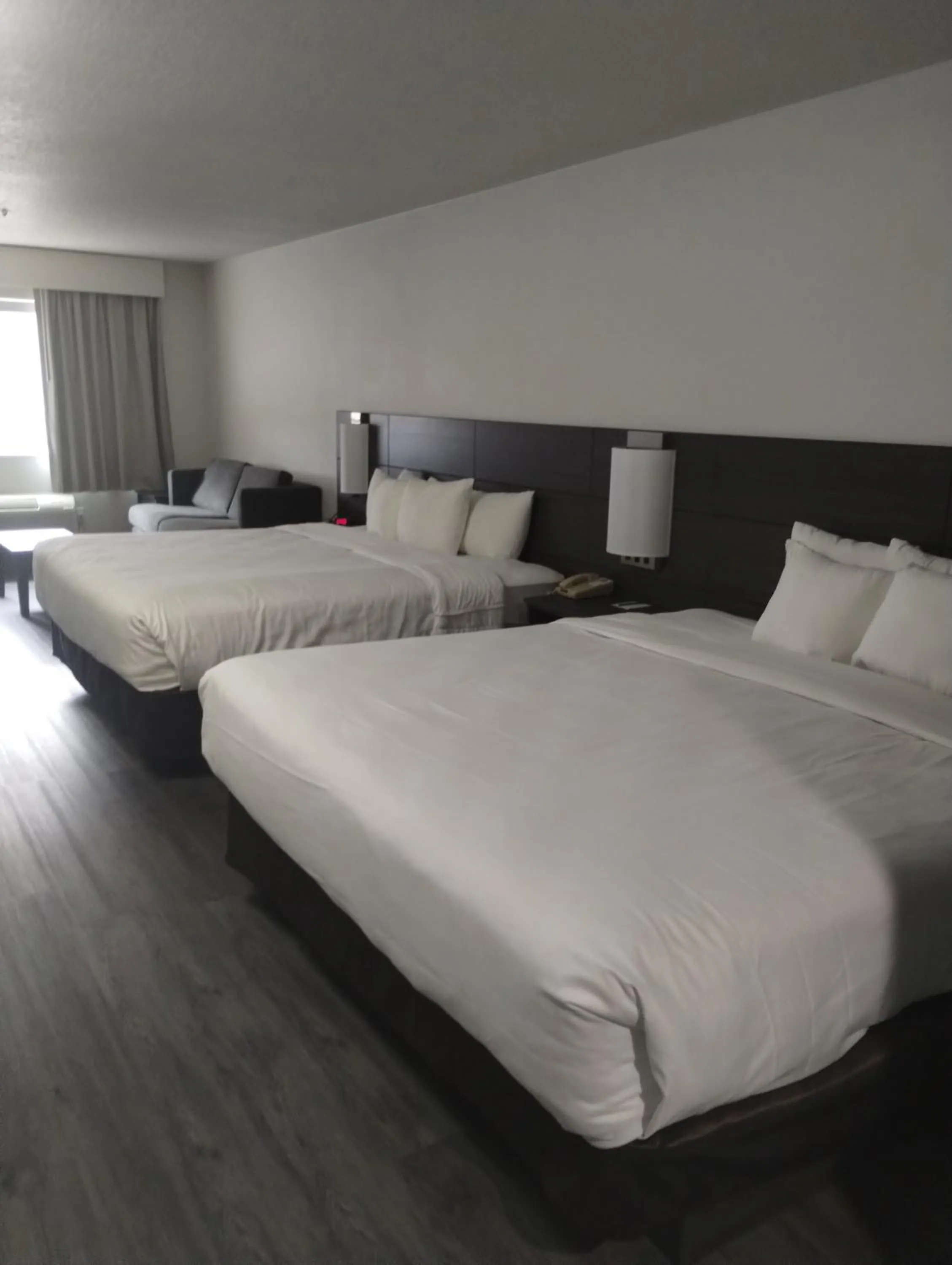 Efficiency Family King Suite - Non Smoking in Quality Inn & Suites Wilsonville