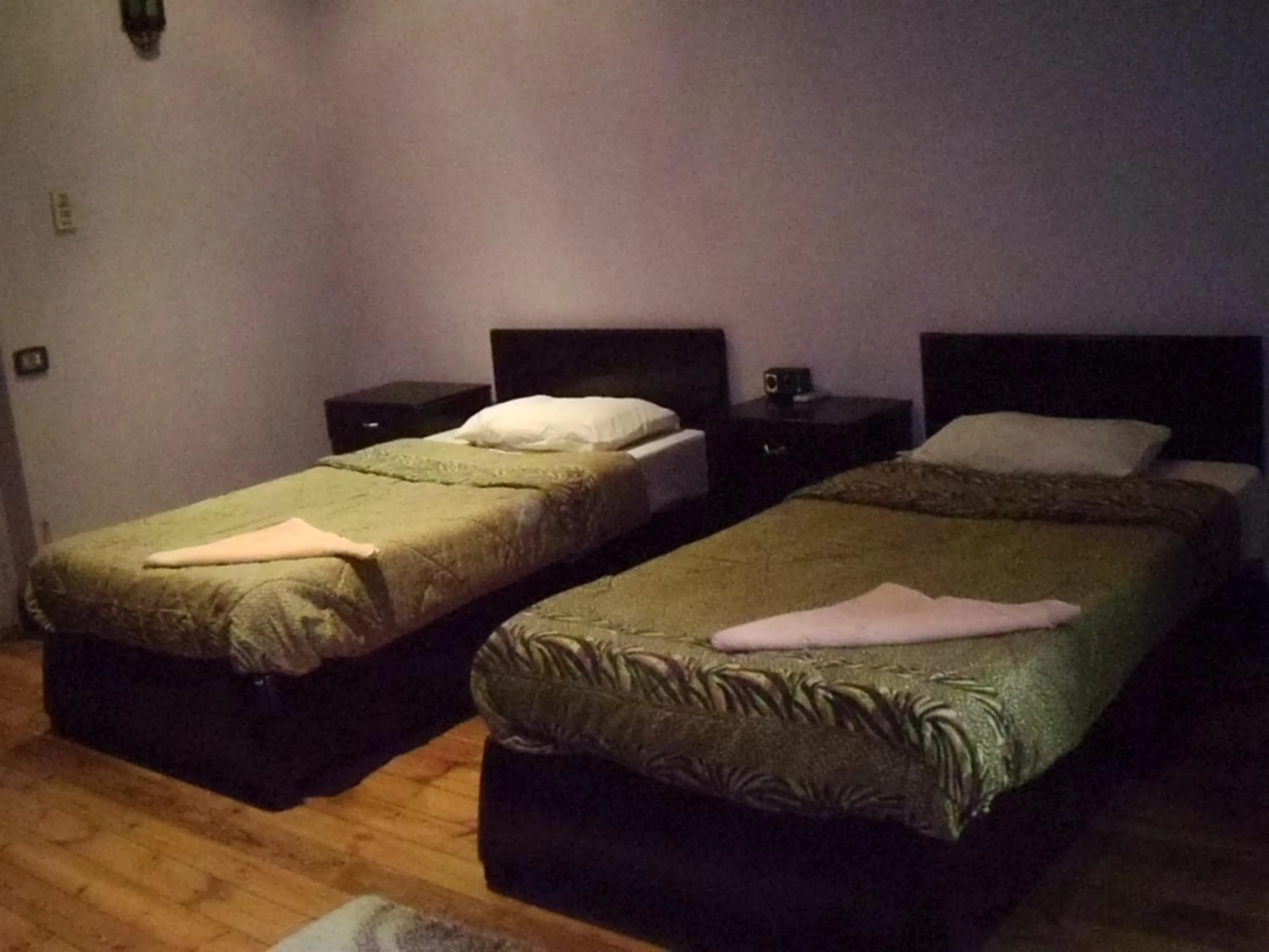 Standard Quadruple Room in Freedom Hostel