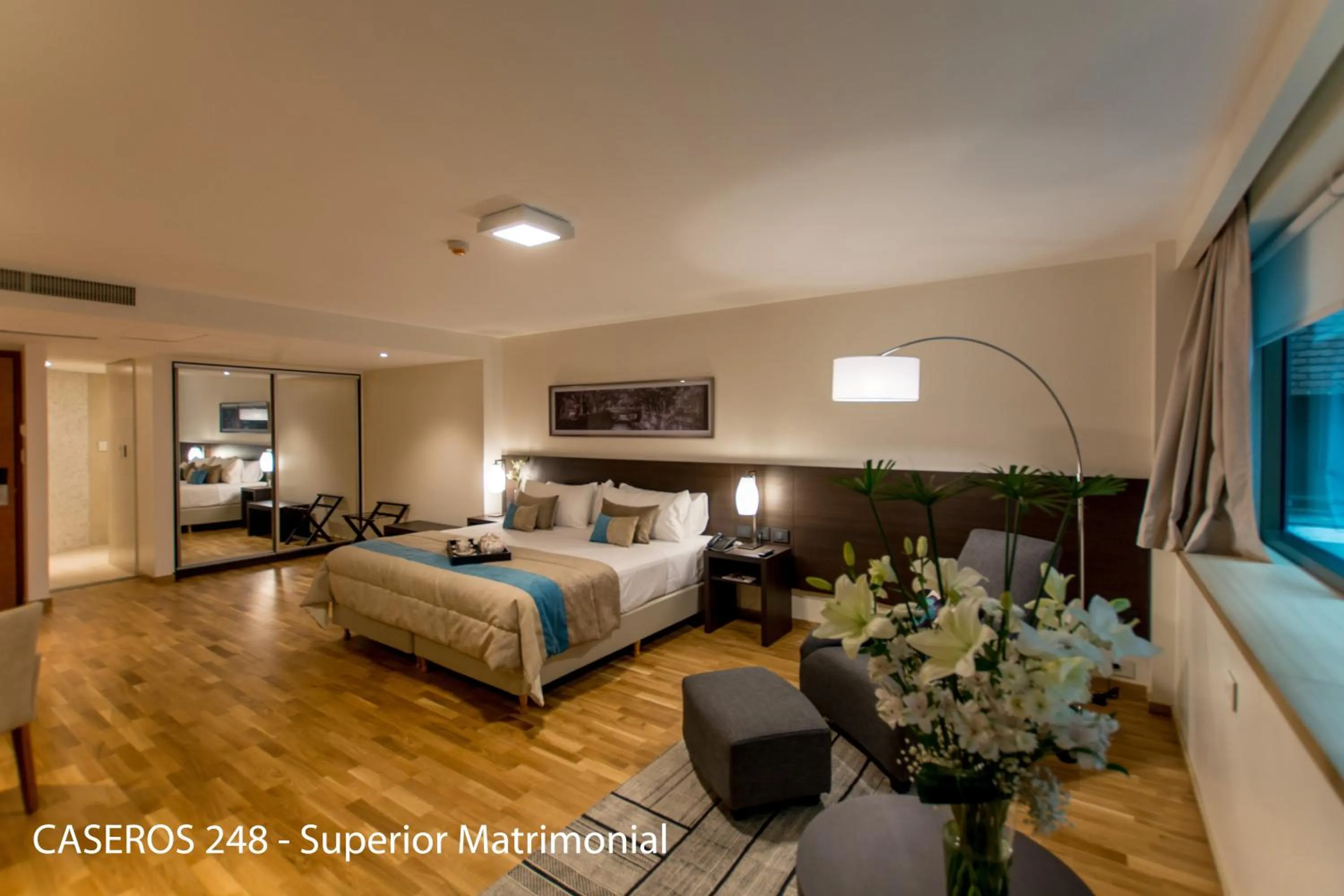 Superior Double Room - single occupancy in Caseros 248 Hotel