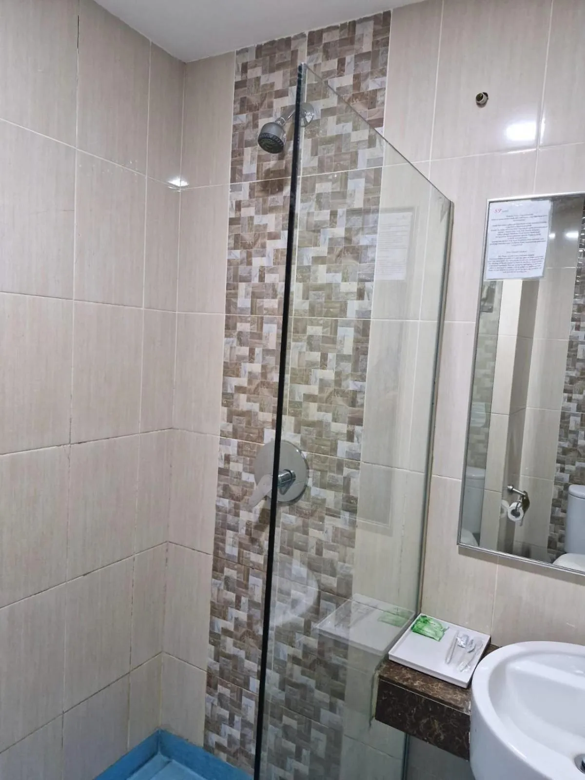 Double Room in SP hotel