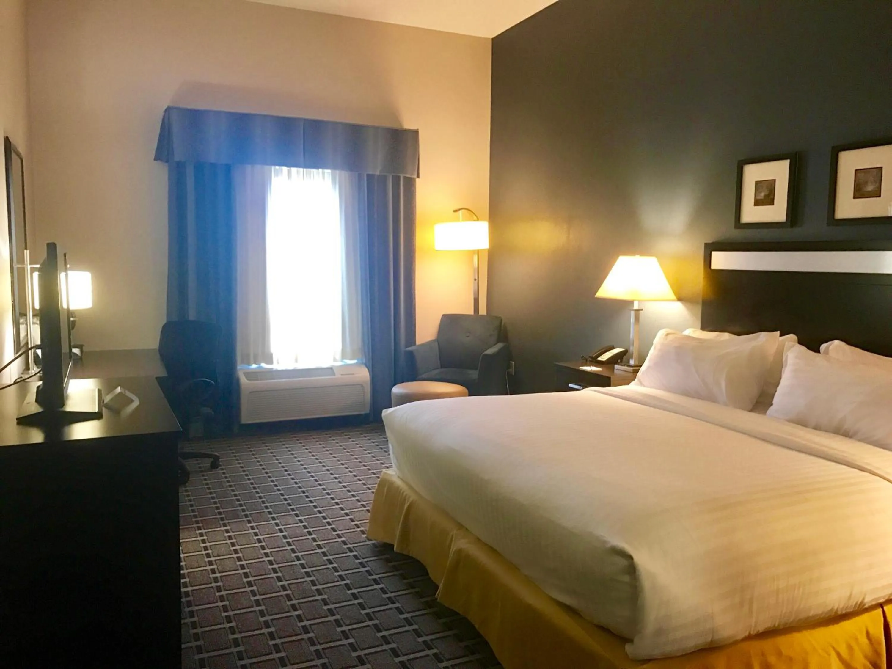 King Room with Roll-In Shower - Disability Access in Holiday Inn Express & Suites Morton Peoria Area by IHG
