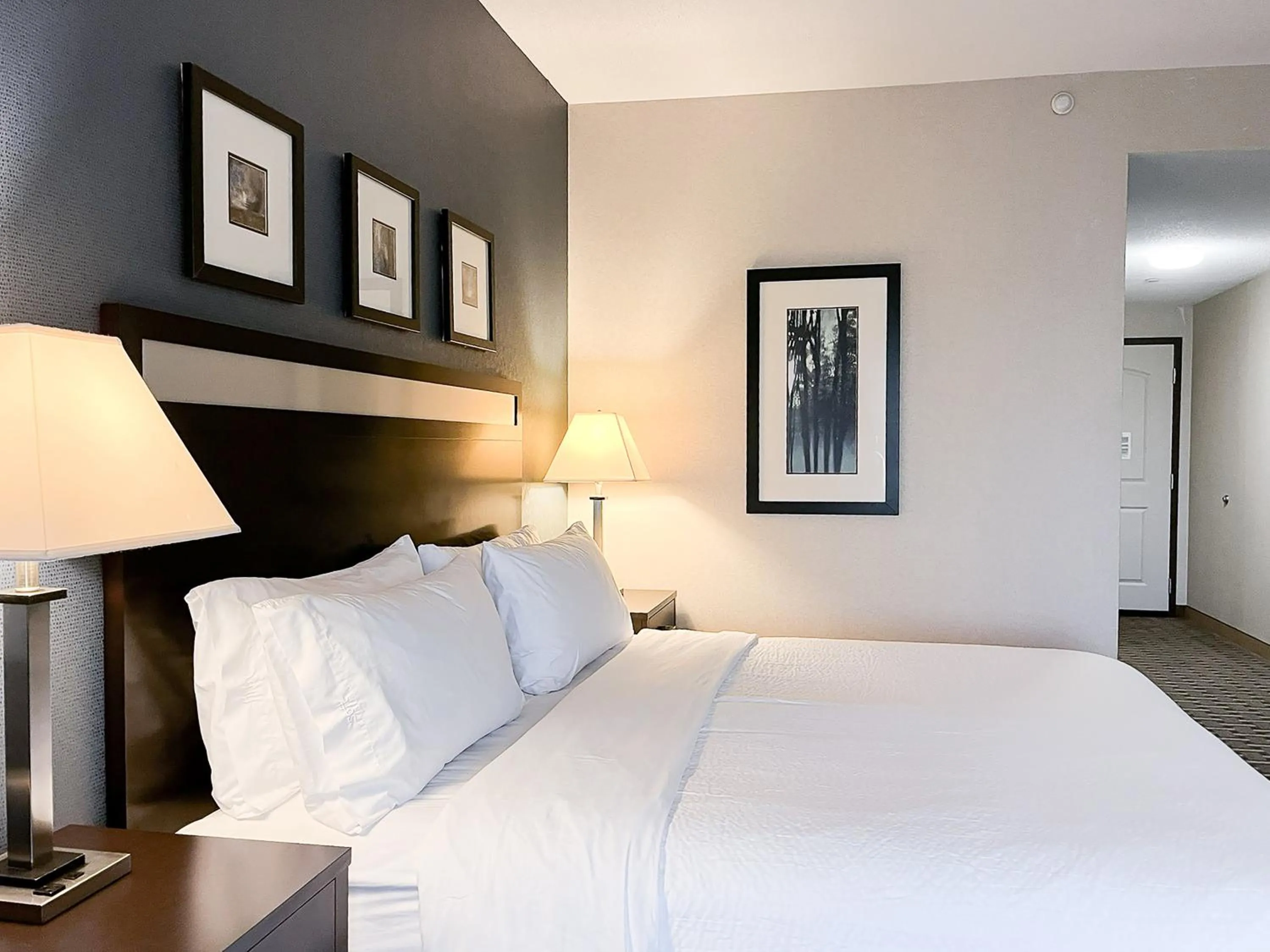 Standard King Room in Holiday Inn Express & Suites Morton Peoria Area by IHG