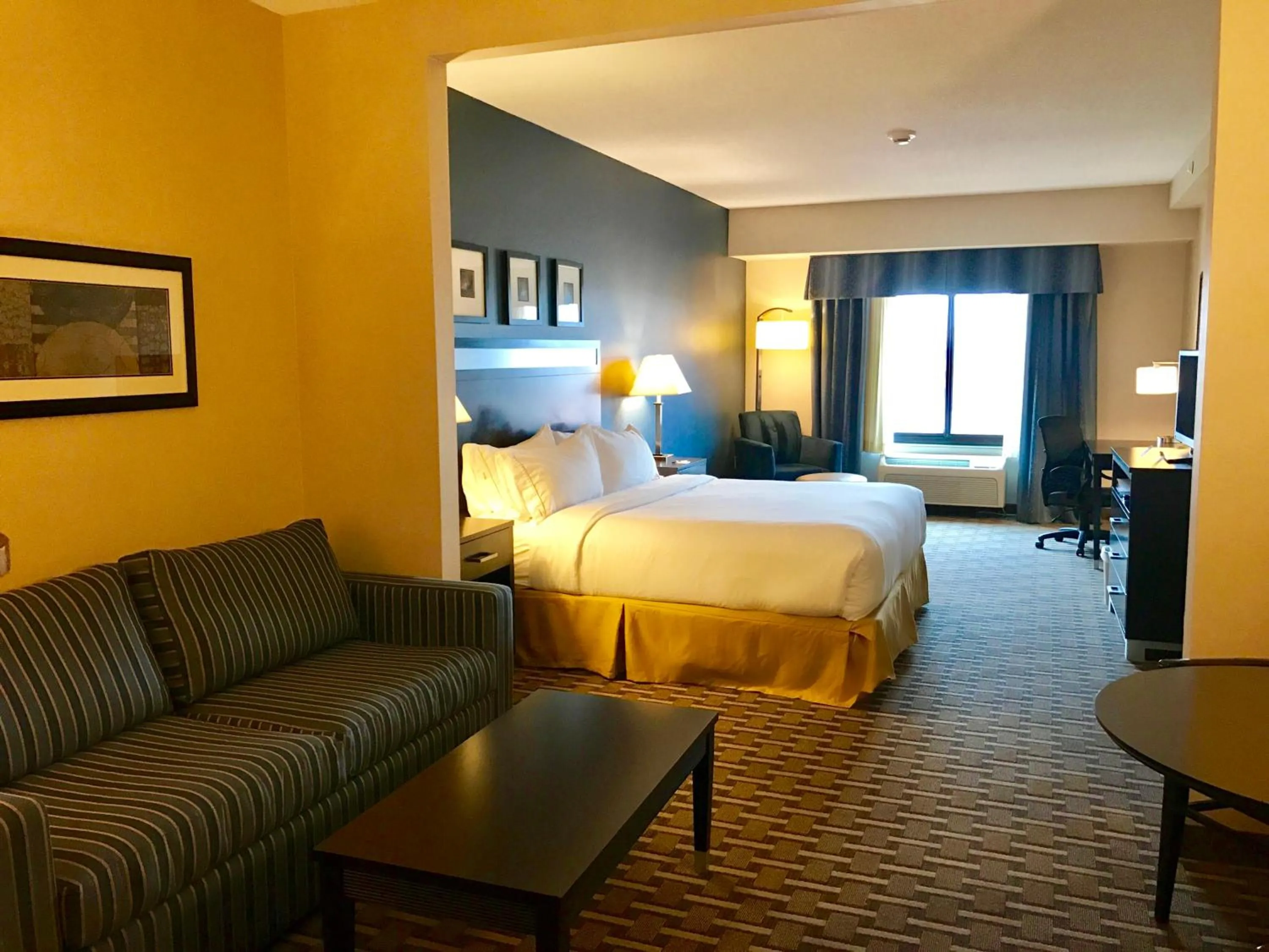 King Suite - Non-Smoking in Holiday Inn Express & Suites Morton Peoria Area by IHG