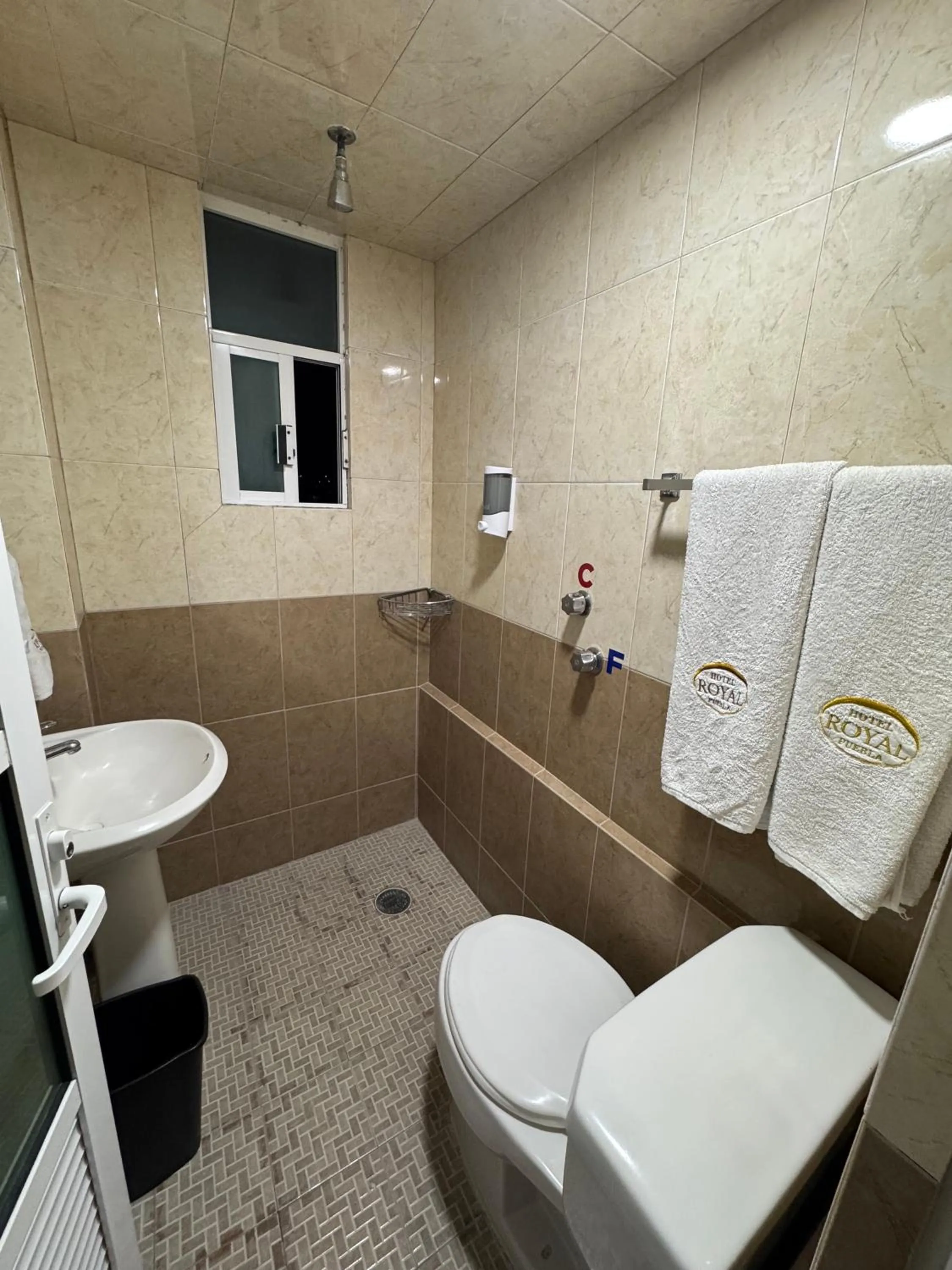 Double Room in Hotel Royal Puebla