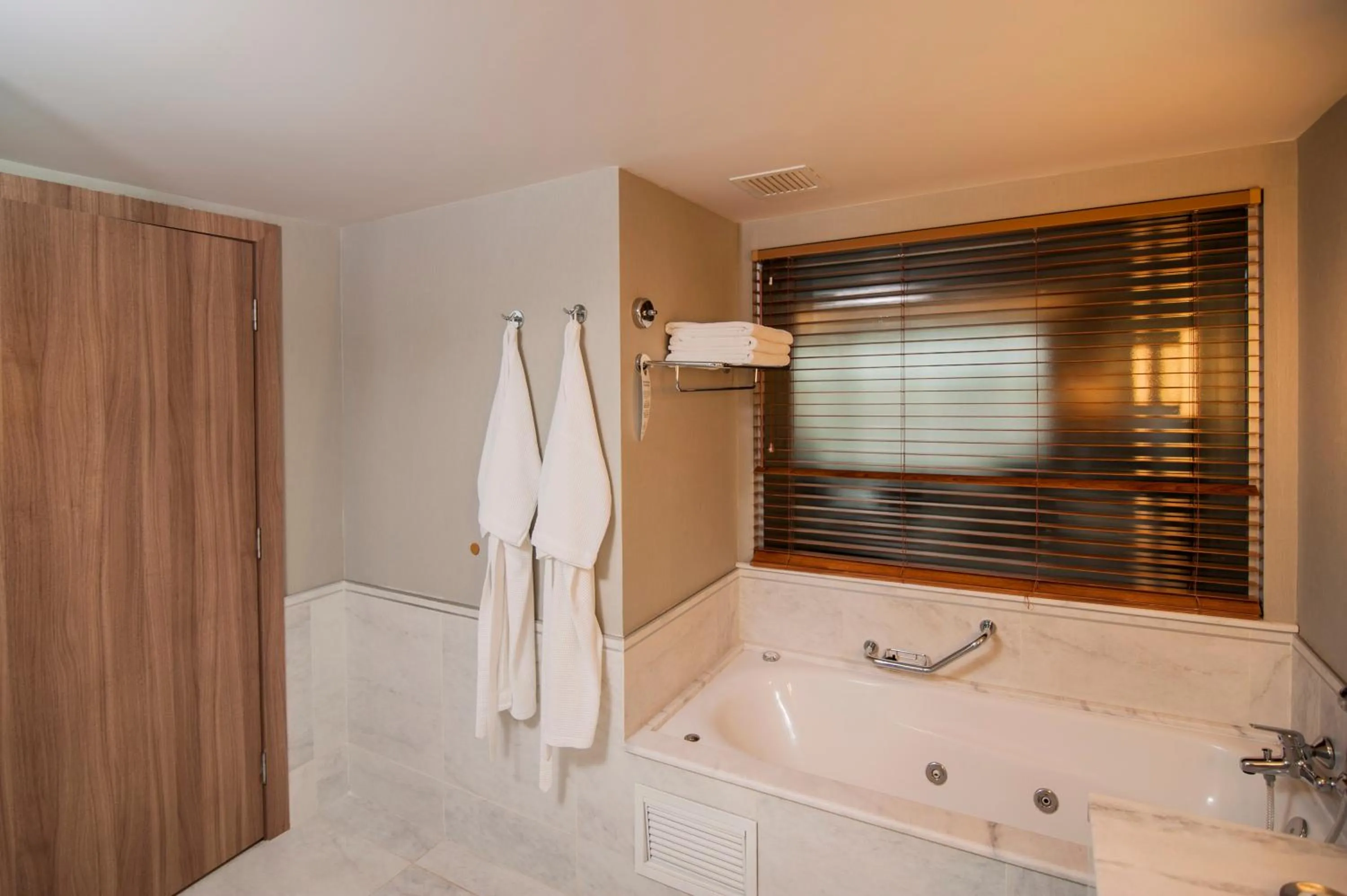 Premier Twin Room - single occupancy in Gran Bourbon Hotel Asuncion