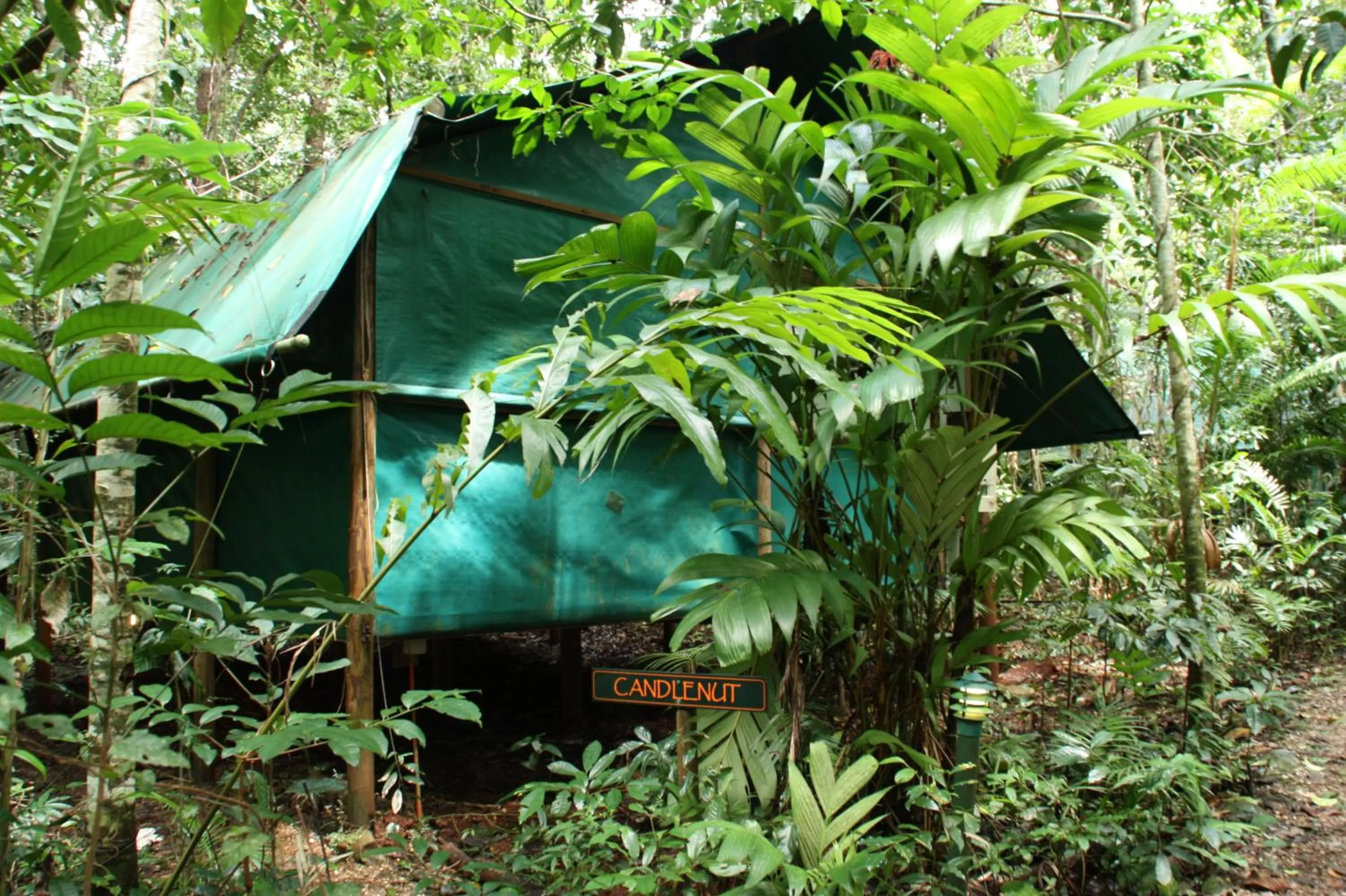 Tropical Cabin in Daintree Crocodylus