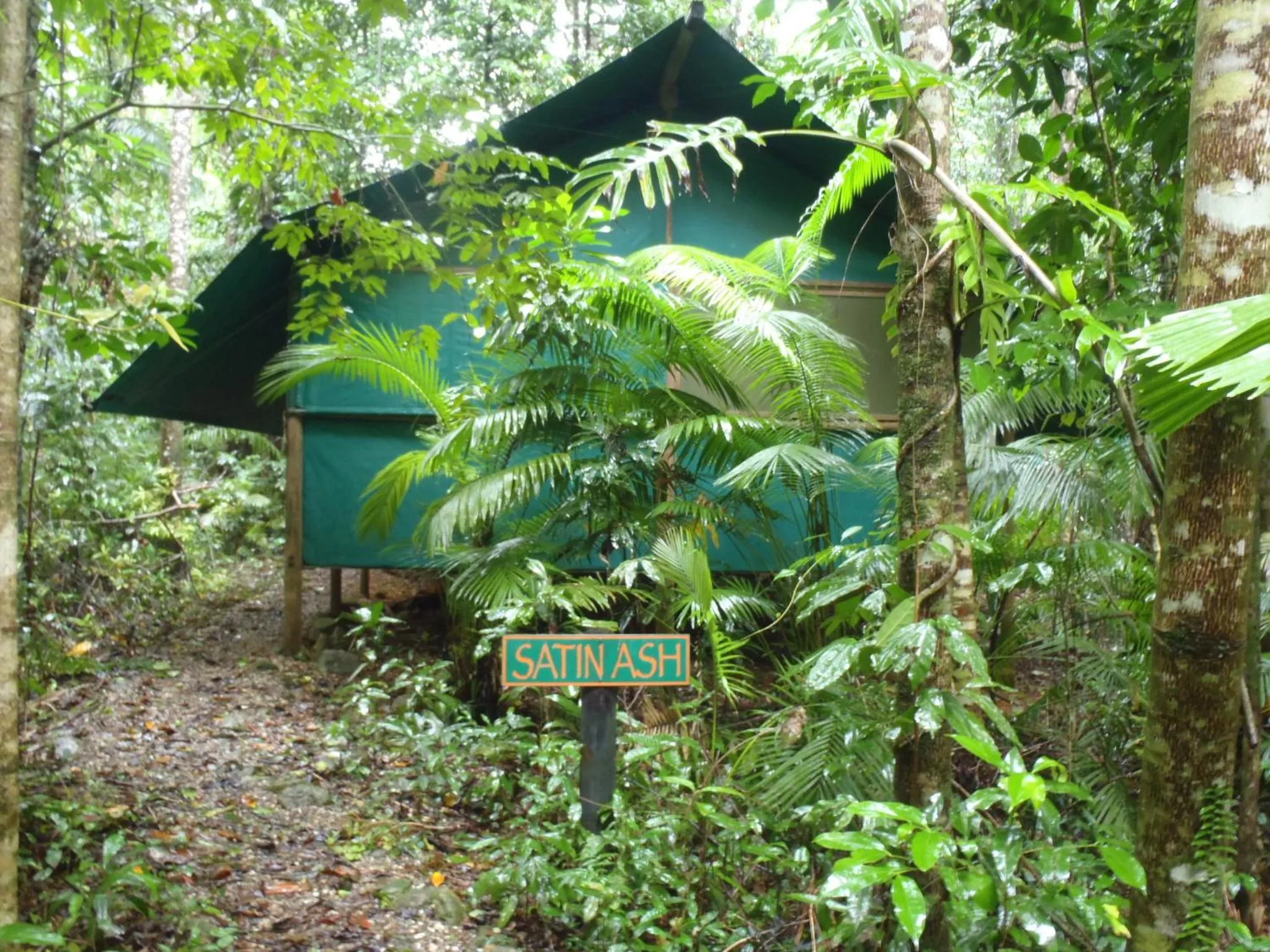  Rainforest Bungalow in Daintree Crocodylus
