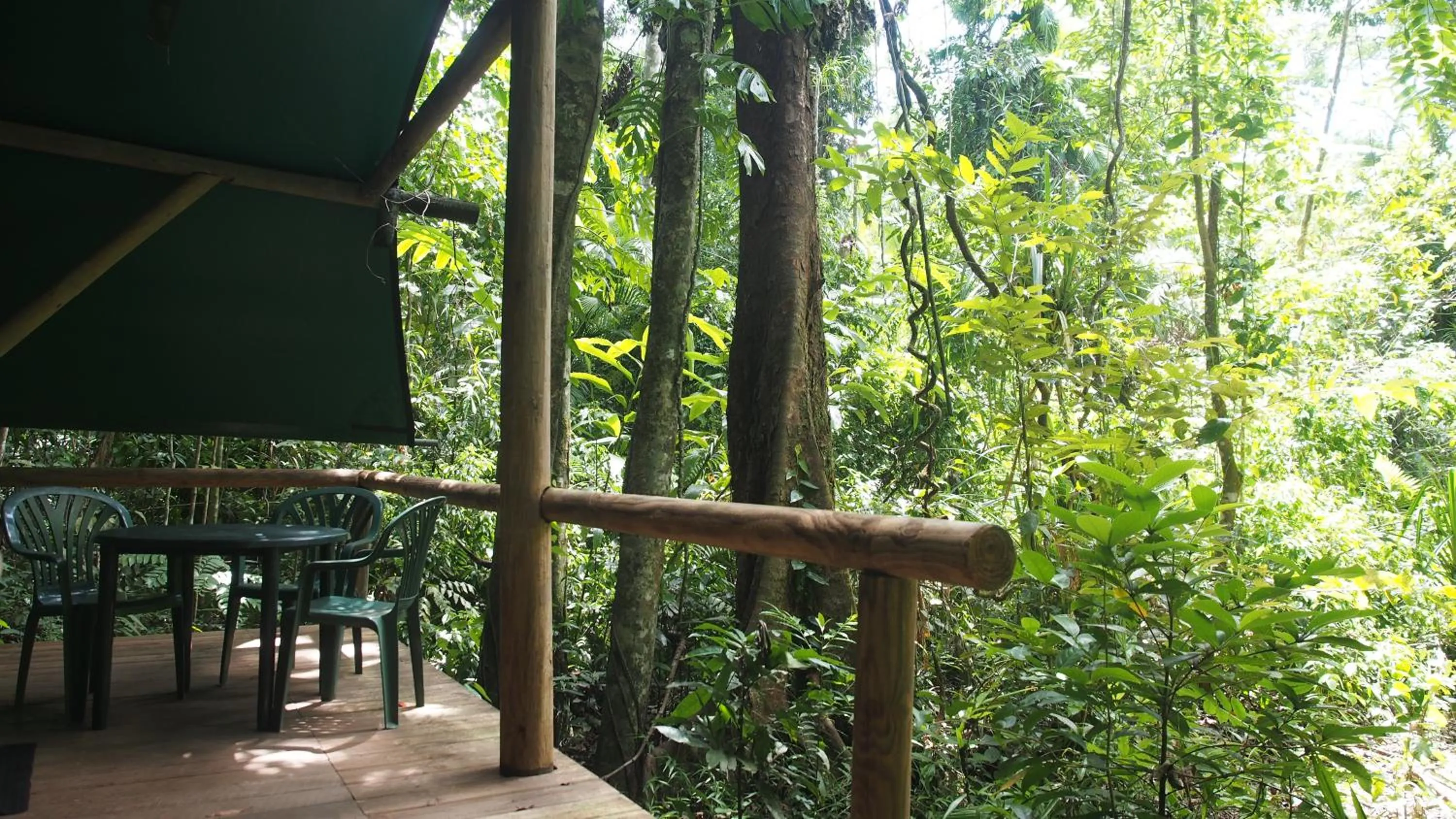 Economy Quadruple Room with Shared Bathroom in Daintree Crocodylus