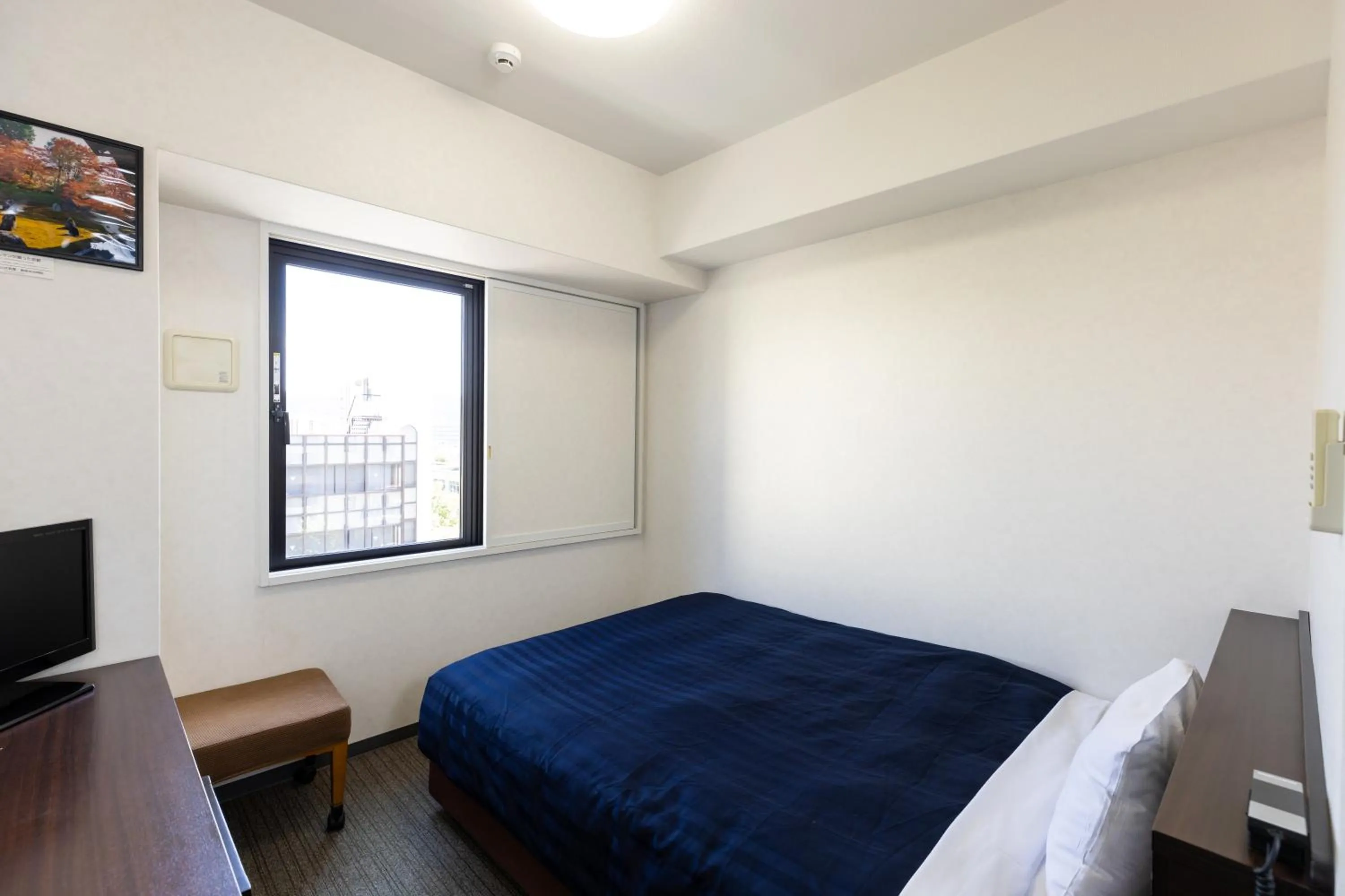 Single Room - New Building - Non-Smoking in Kyoto Plaza Hotel