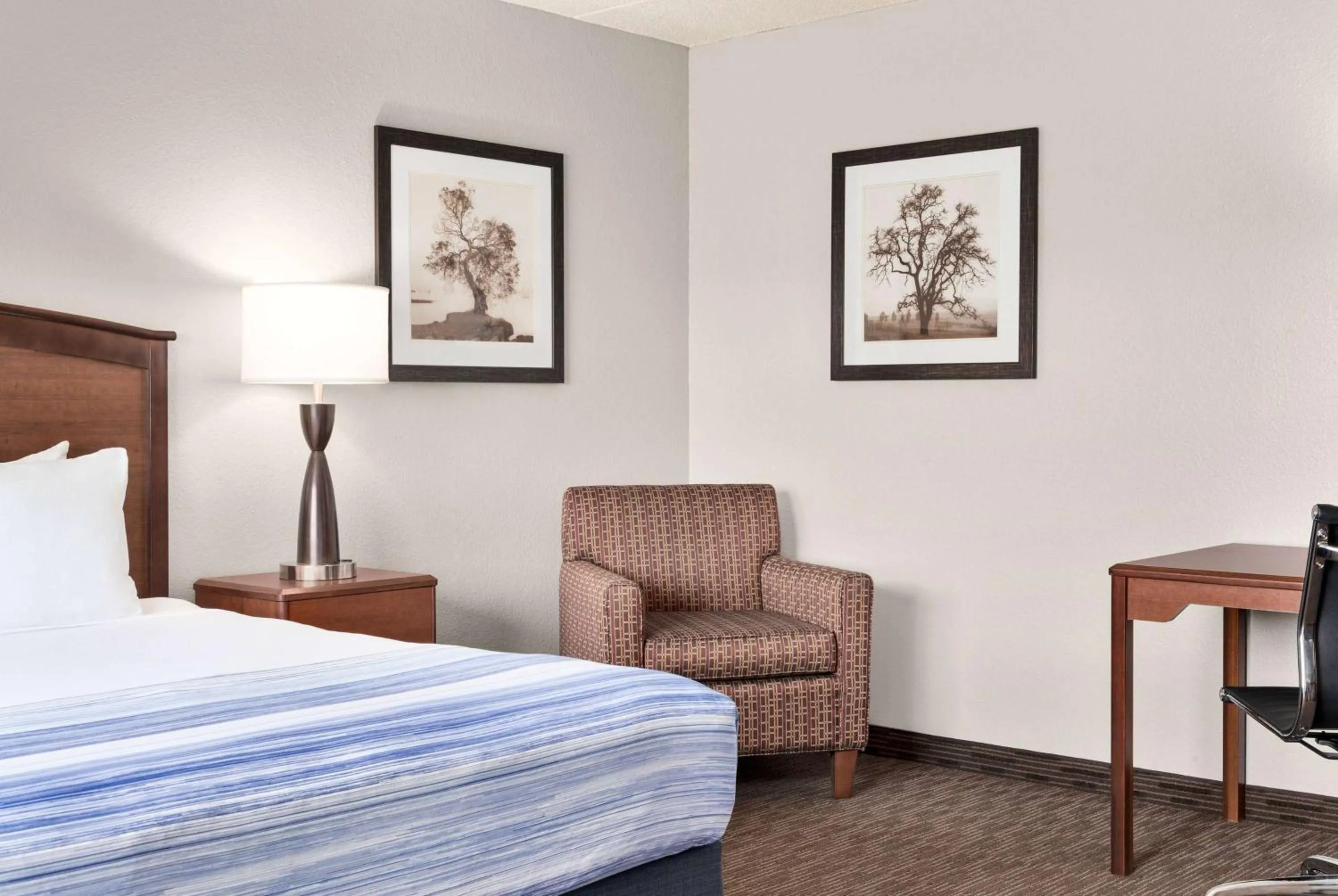 Queen Room - Non-Smoking in AmericInn by Wyndham Fergus Falls Conference Center