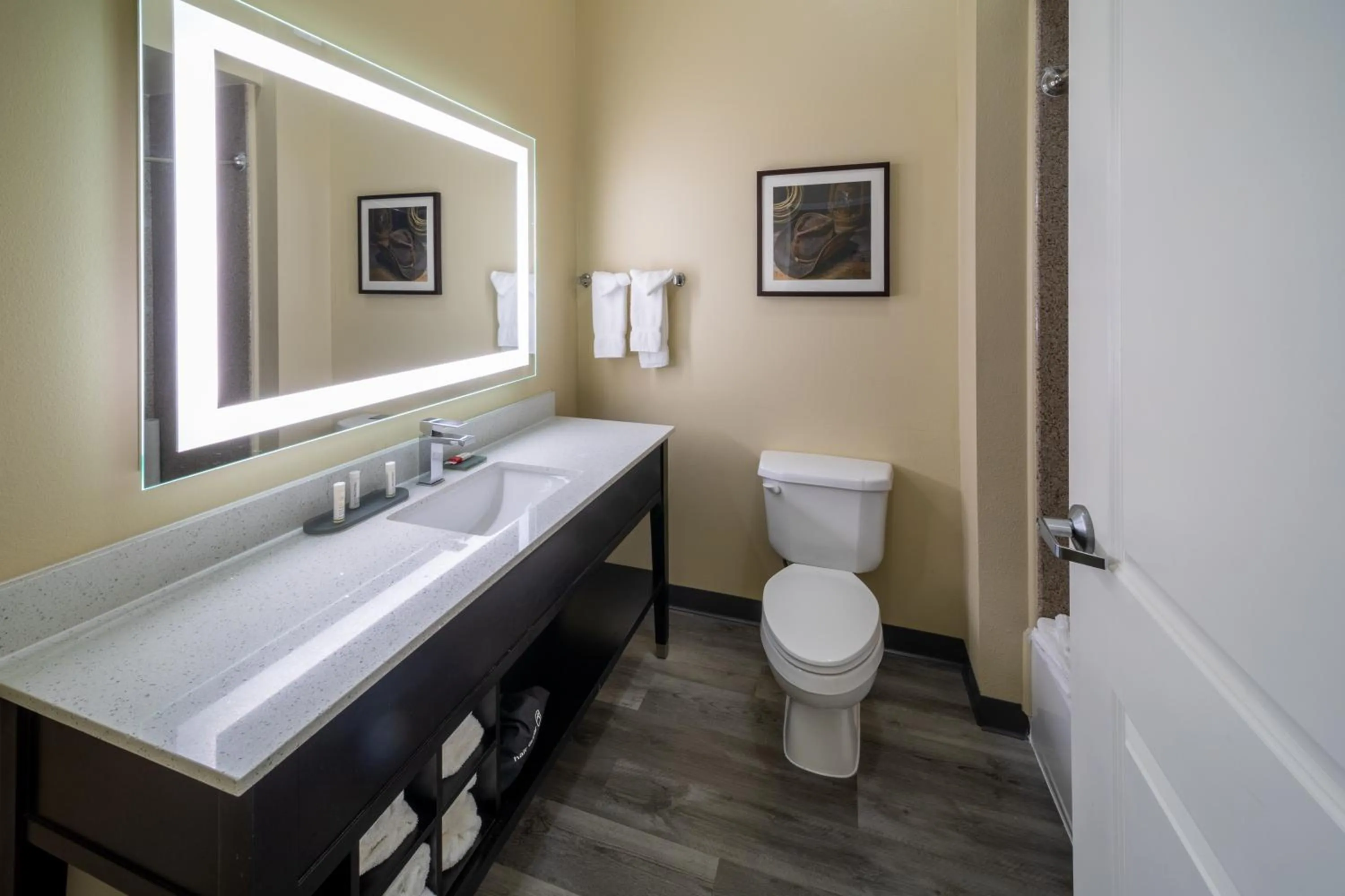 Executive King Suite - Non-Smoking in La Quinta by Wyndham Houston New Caney