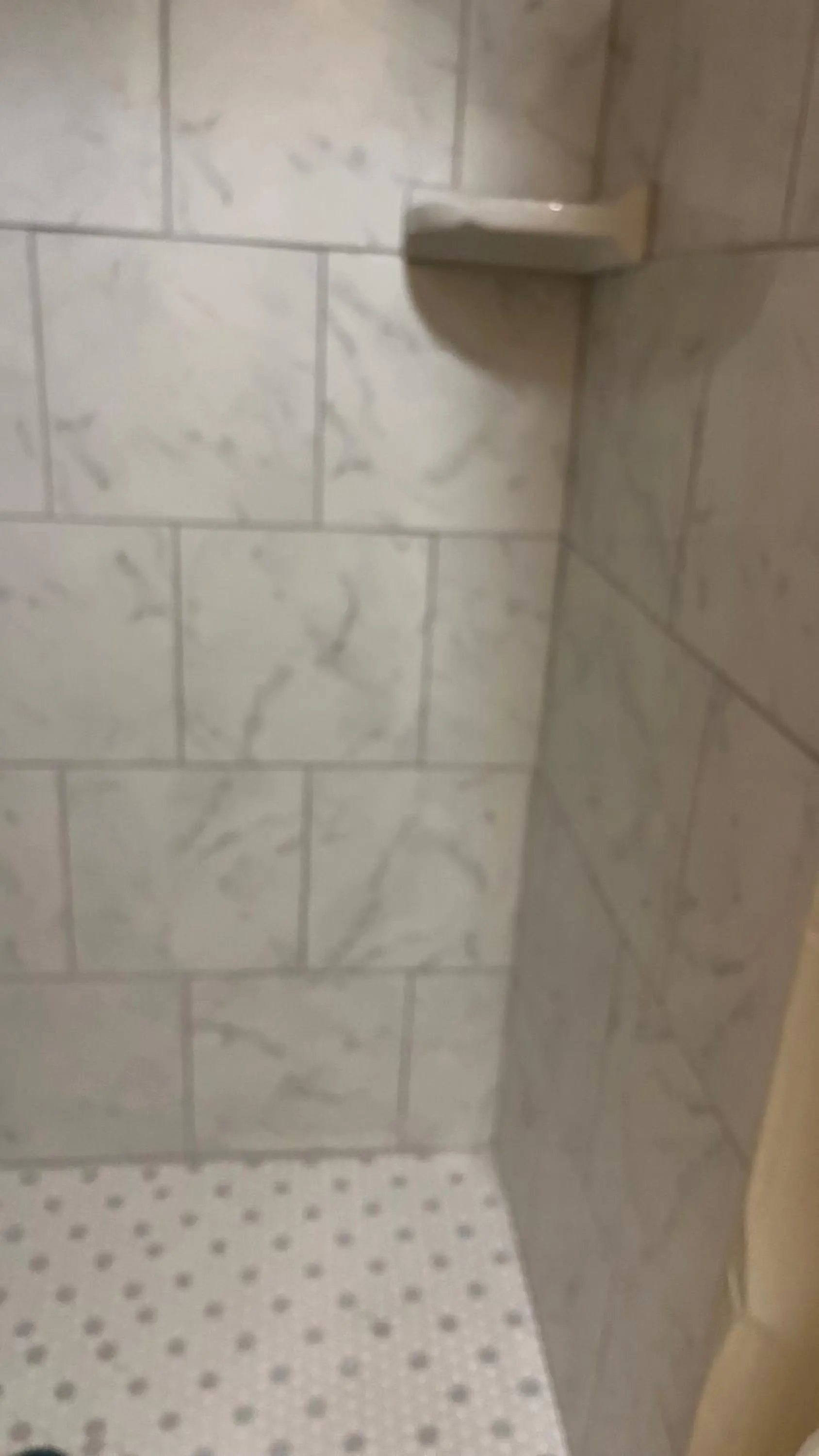 Queen Room - single occupancy in Jumping Frog Motel