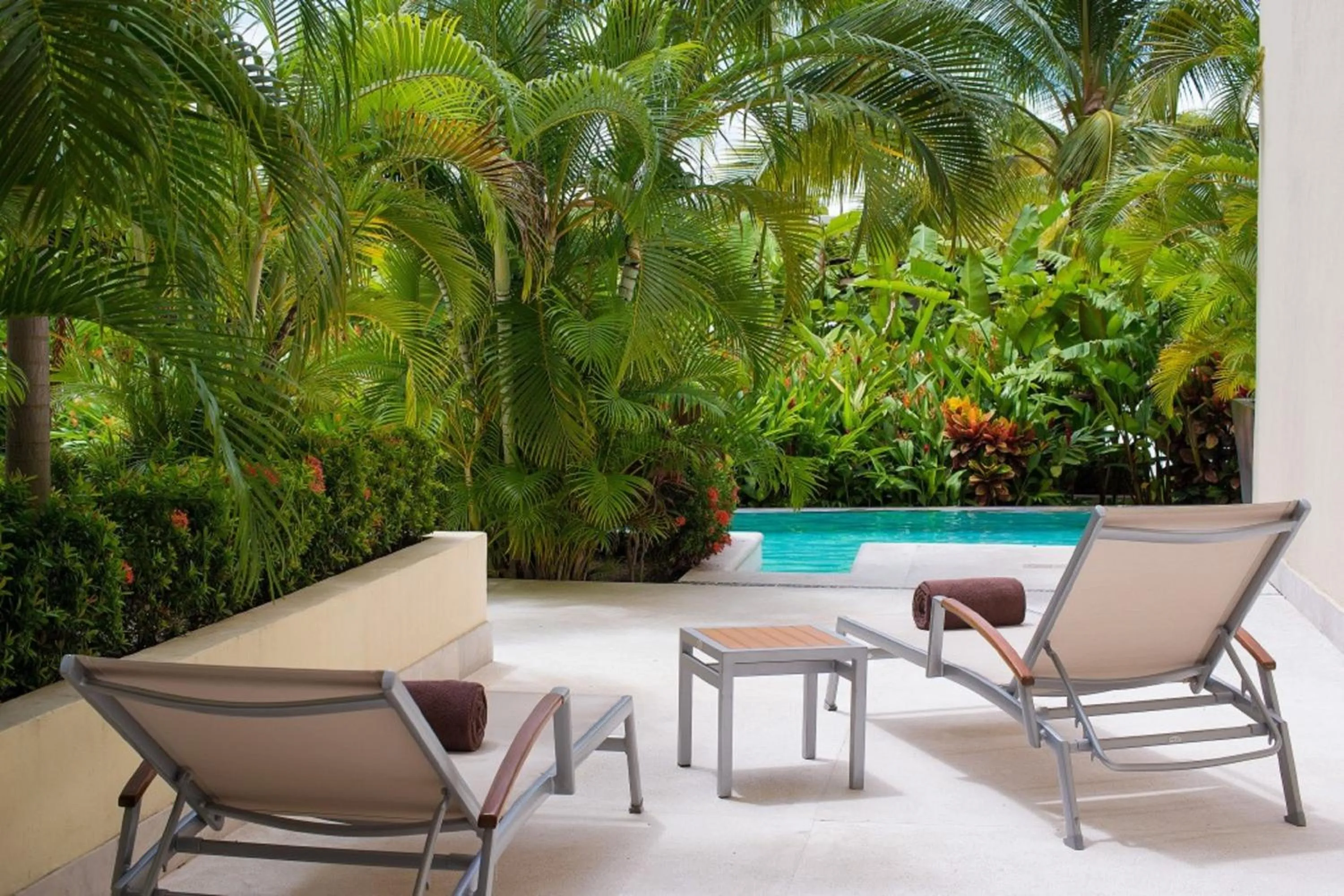 Junior Suite Swimout King - single occupancy in Dreams Vallarta Bay Resorts & Spa - All Inclusive